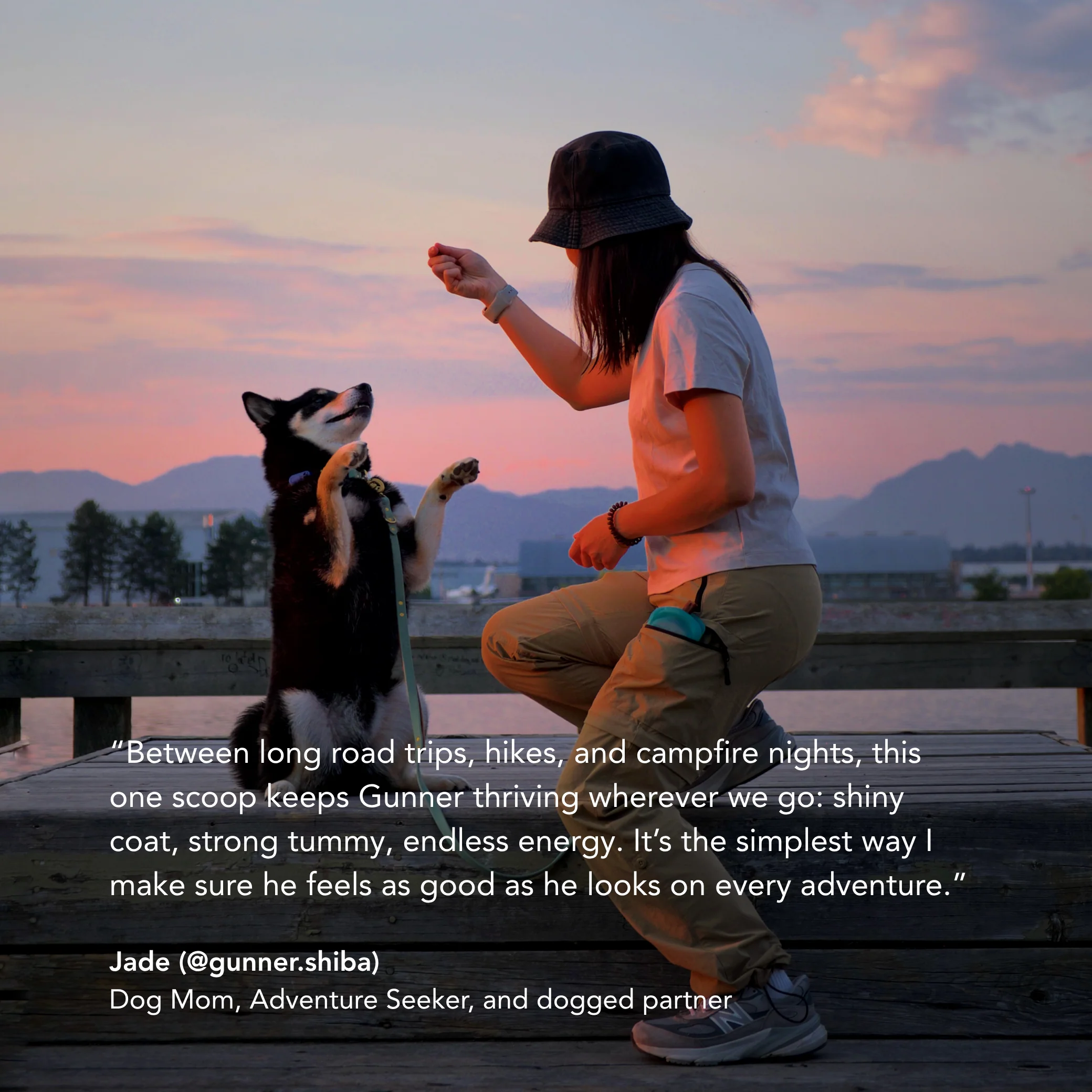 DCS: daily canine synbiotic - Image 7