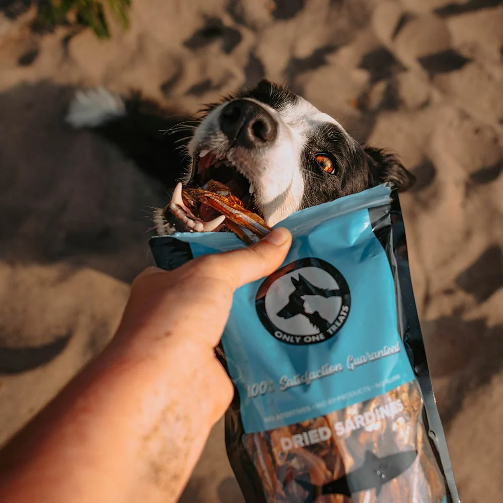 Dried Sardines 340g - Image 5