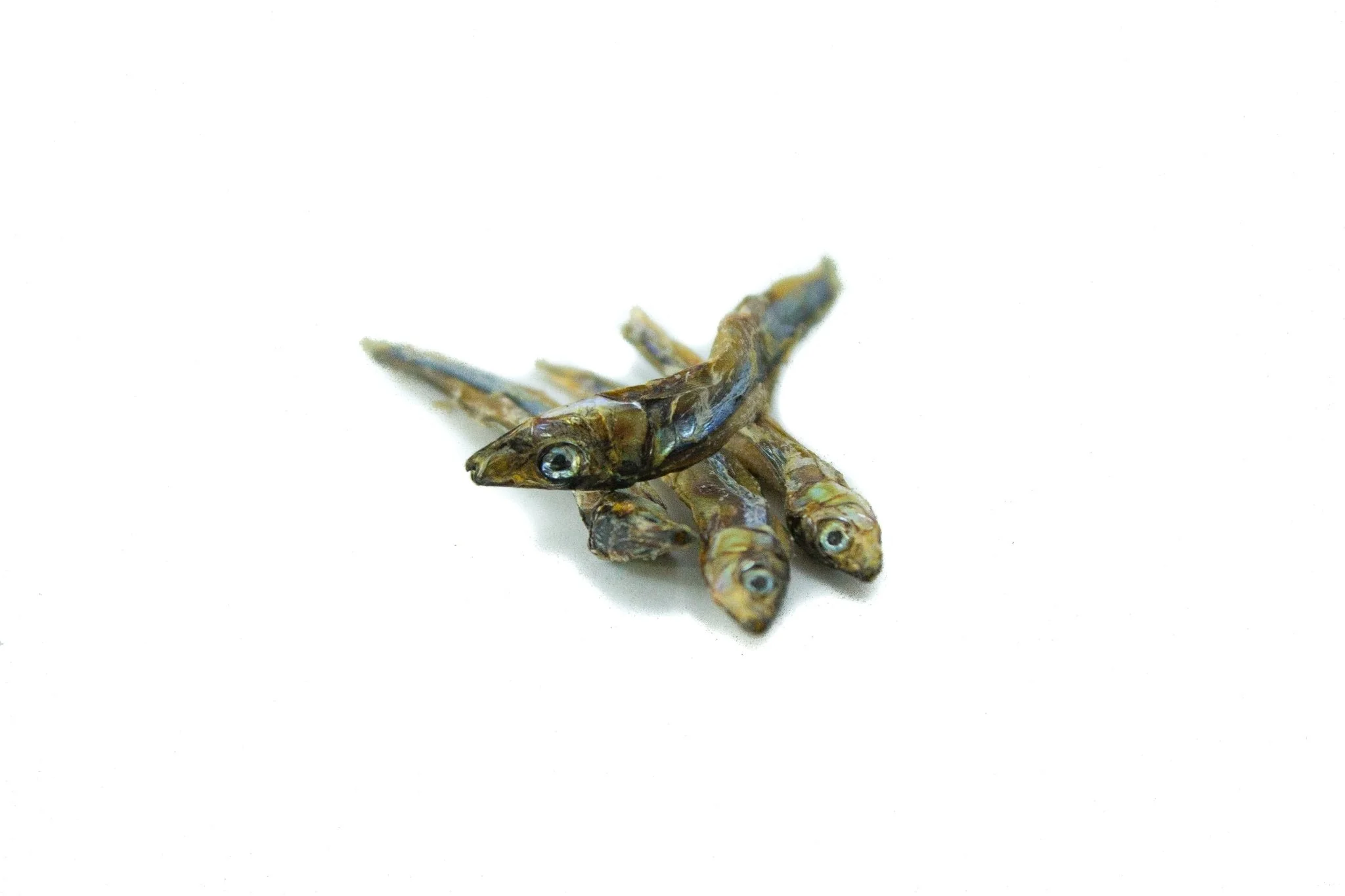 Dried Sardines 40g - Image 5
