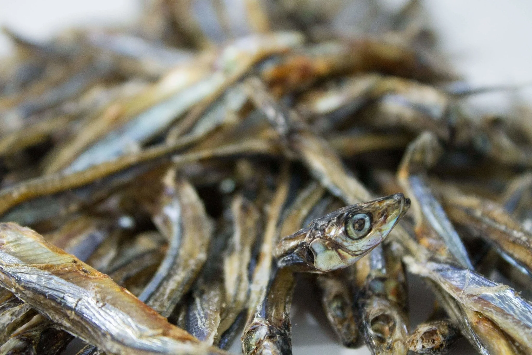 Dried Sardines 90g - Case of 12 - Image 3