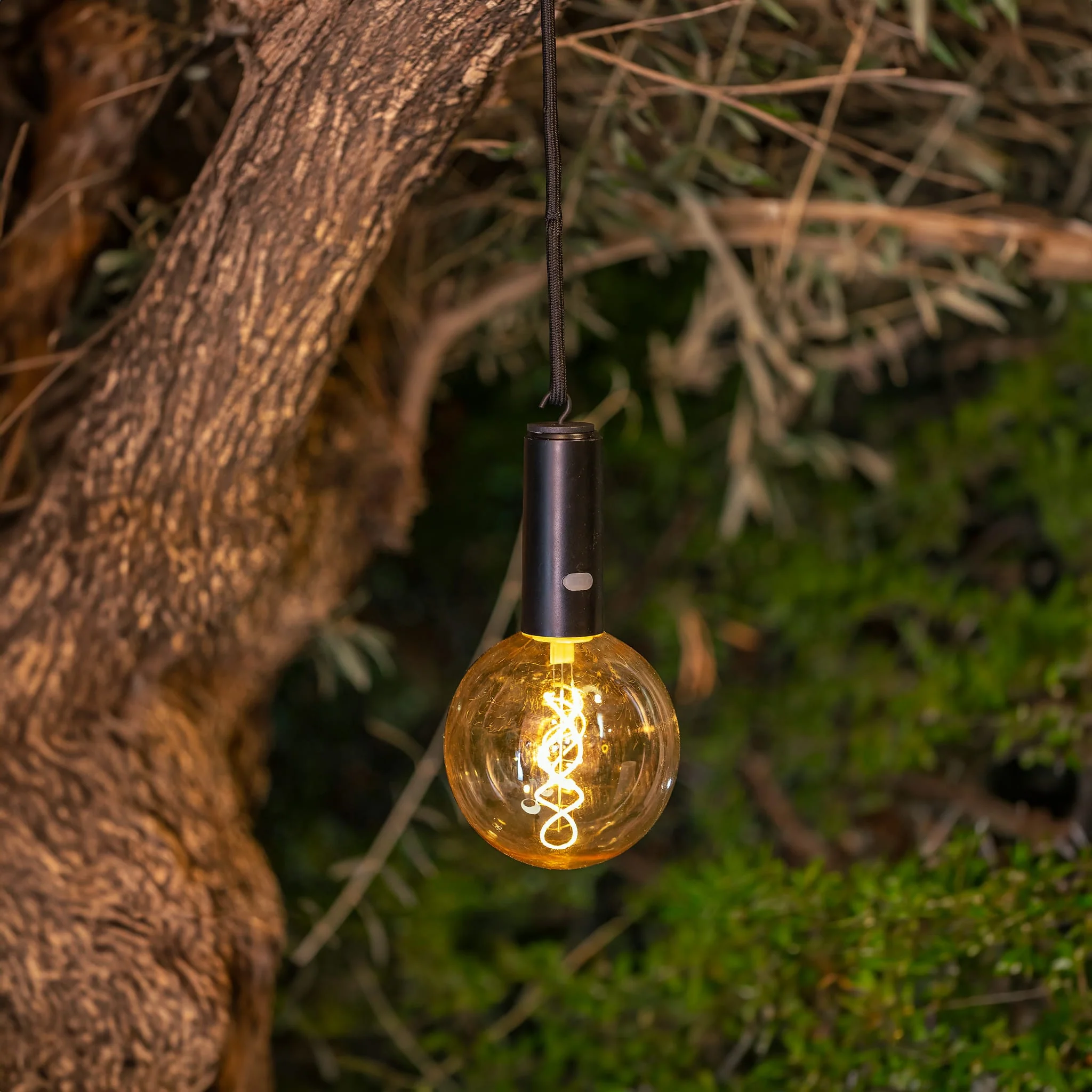 Edy G125 - Image 5
