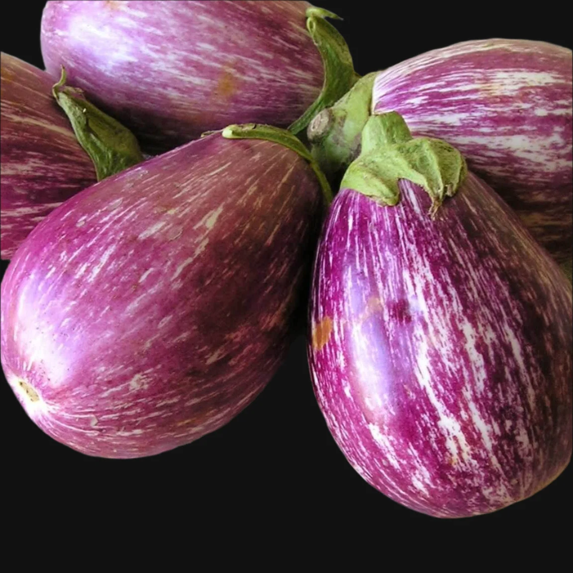 Eggplant Mix - Image 3