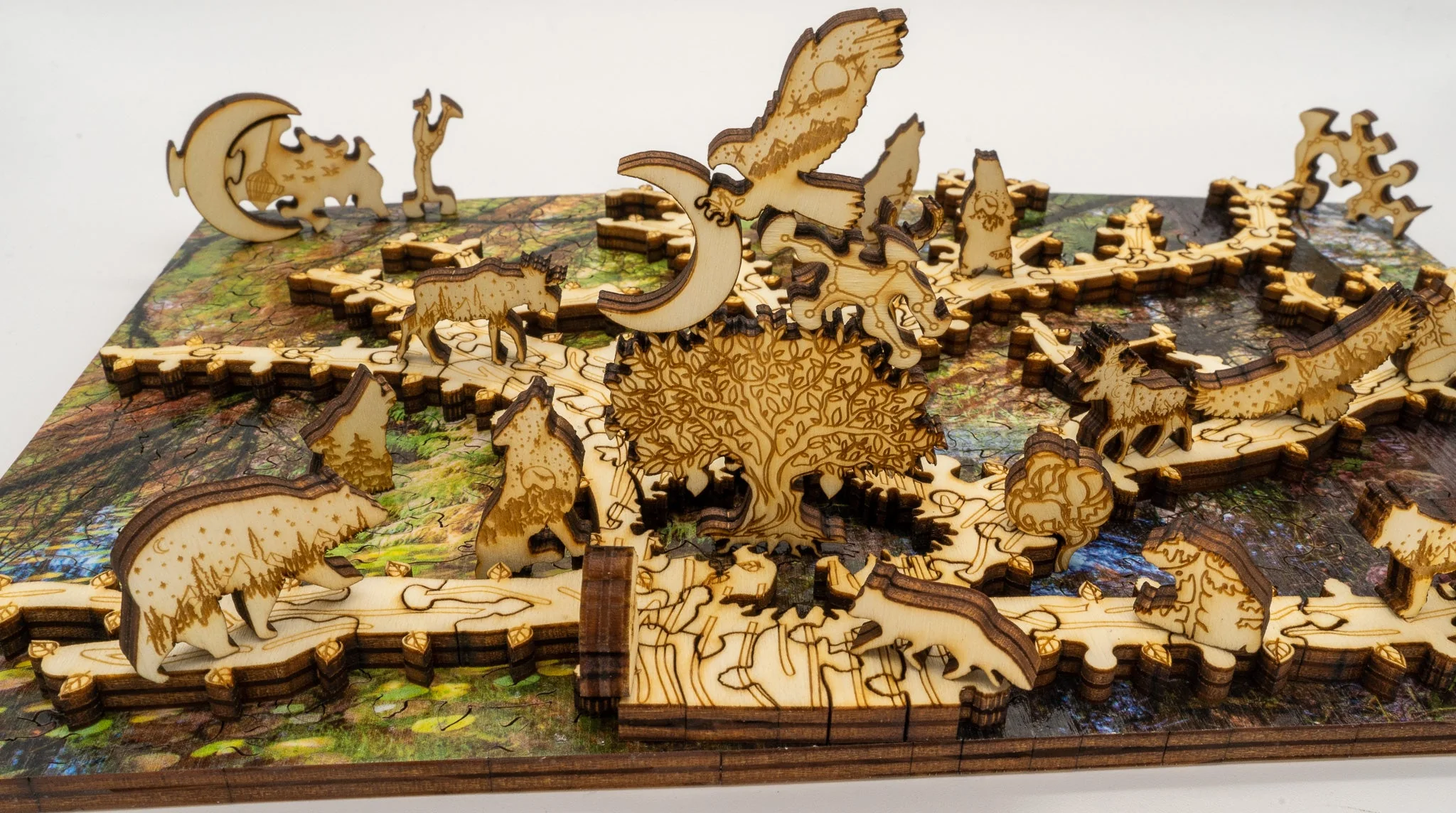 Enchanted Forest - Image 5