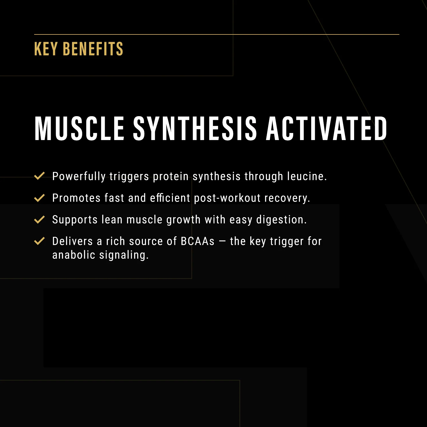 Anabolic Protein - Image 5