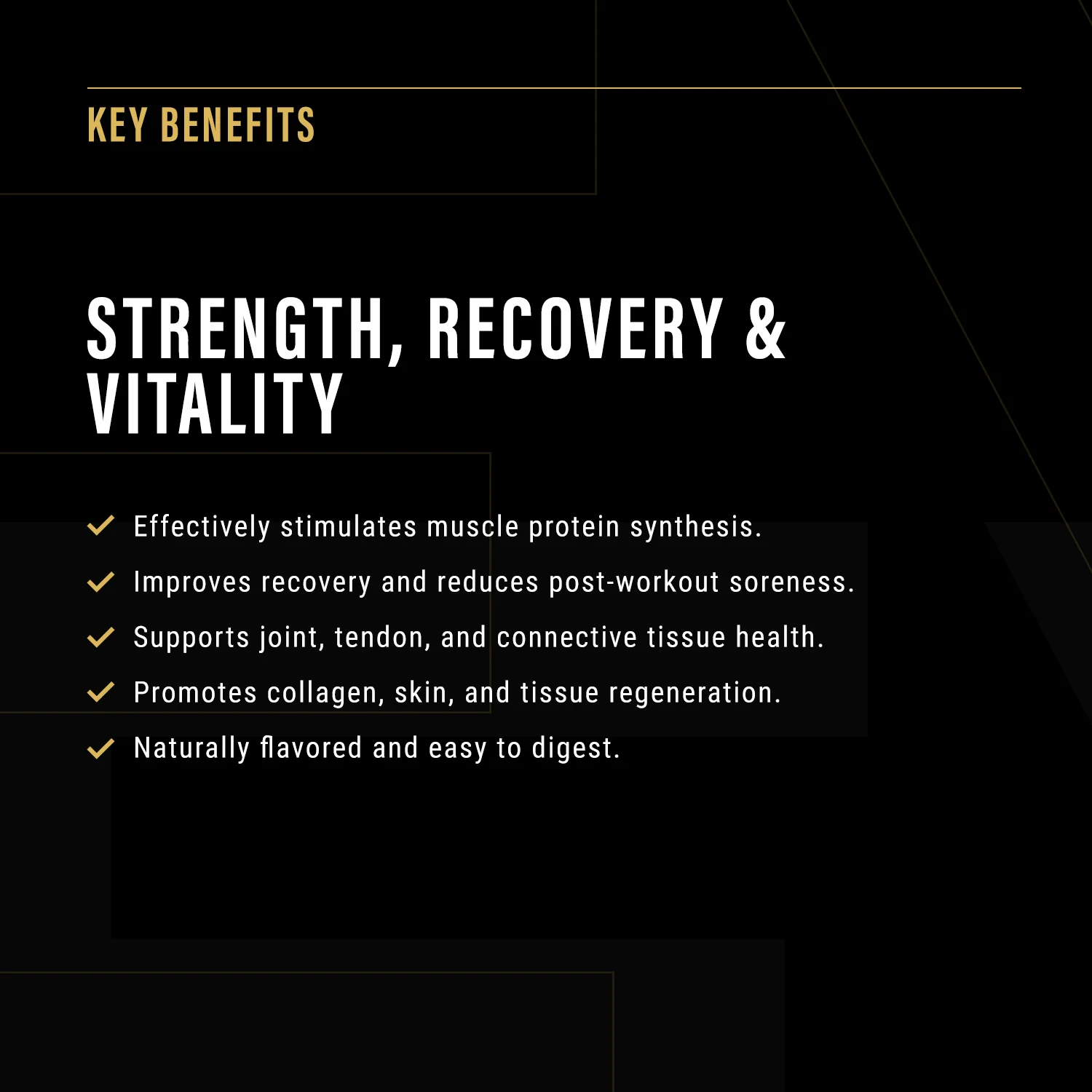Eternal Protein - Image 6