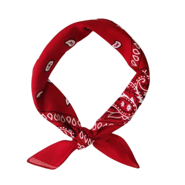 Europe Bound Bandanas 5 pack - Image 2