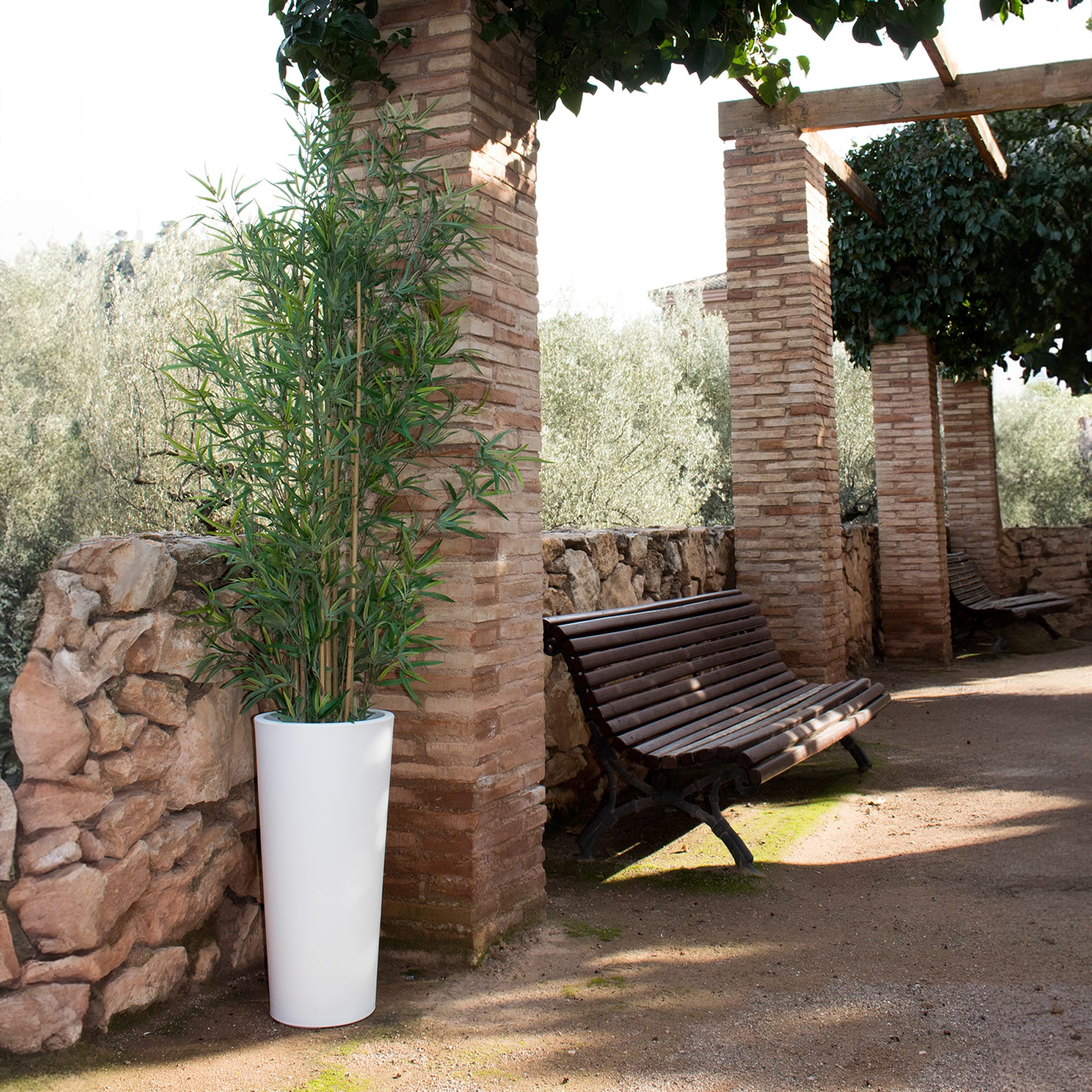 Ficus<br> Solar & Rechargeable - Image 6