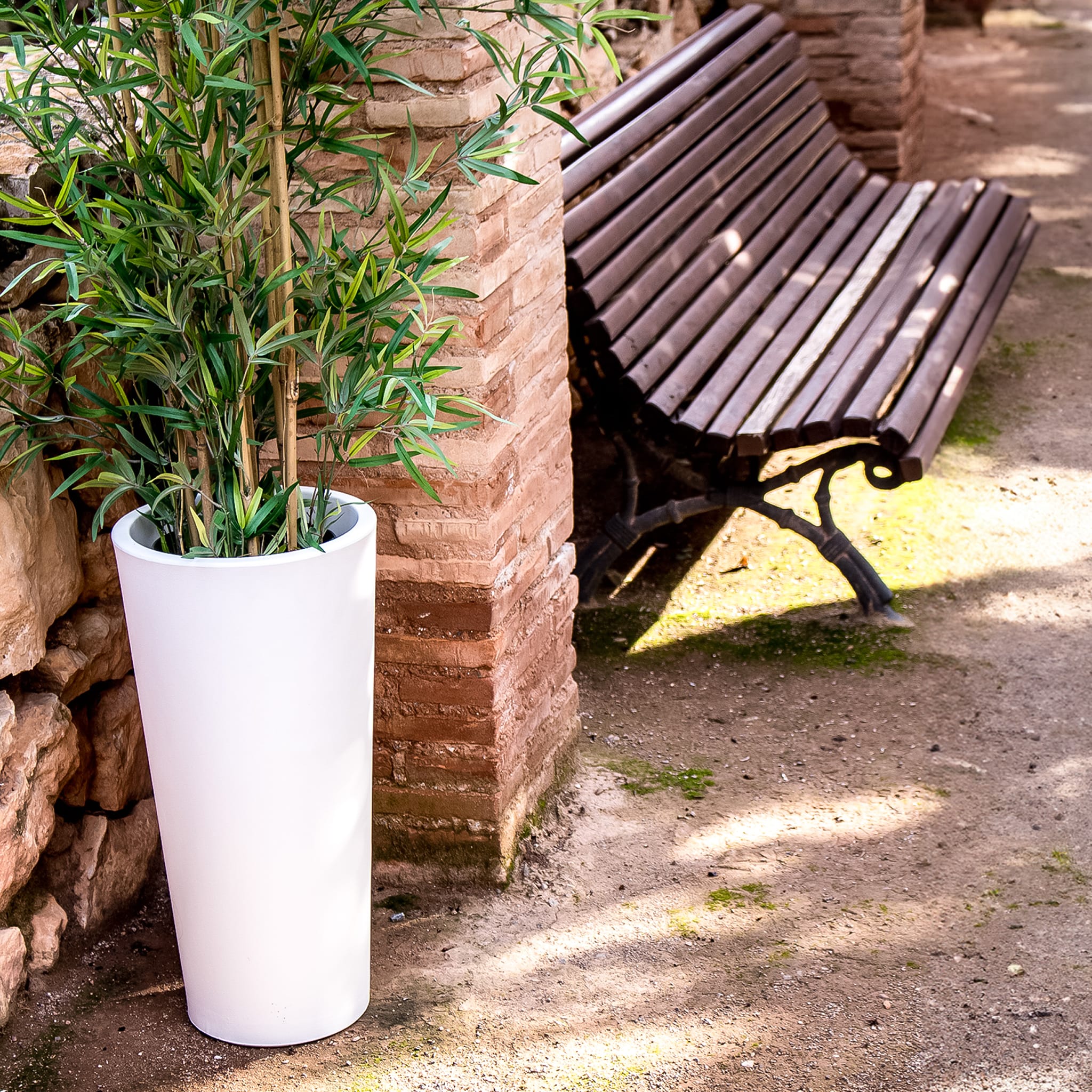 Ficus<br> Solar & Rechargeable - Image 7