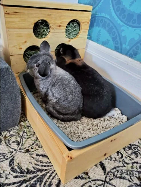 Four Hole Hay Feeder and Litter Box - Image 5
