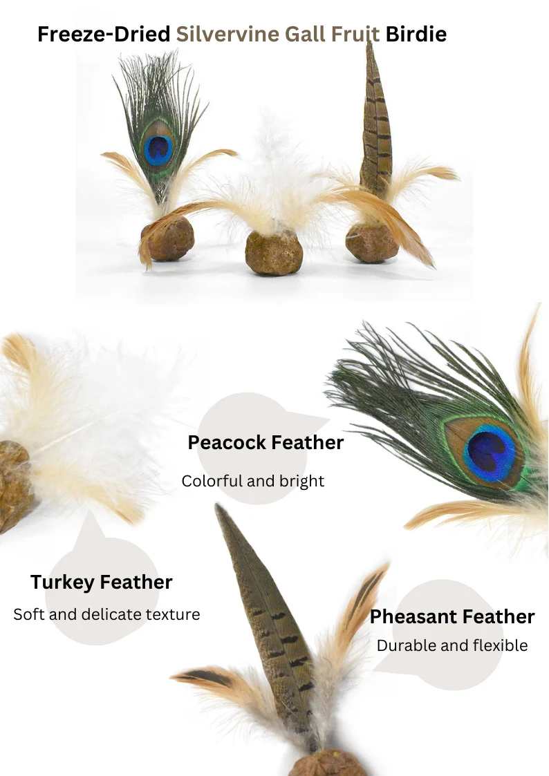 Freeze Dried Silvervine Gall Fruit Toys - Image 3
