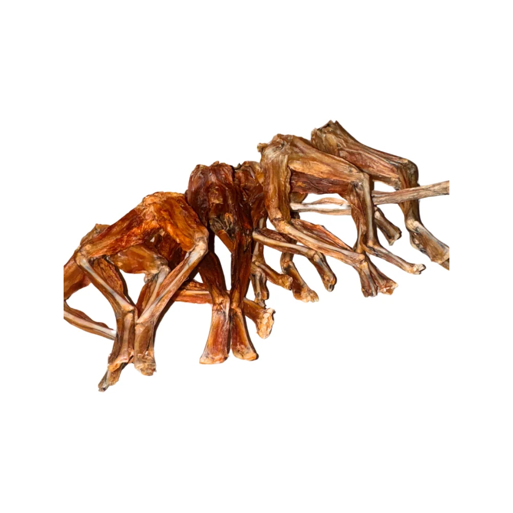Frog Legs - Image 3