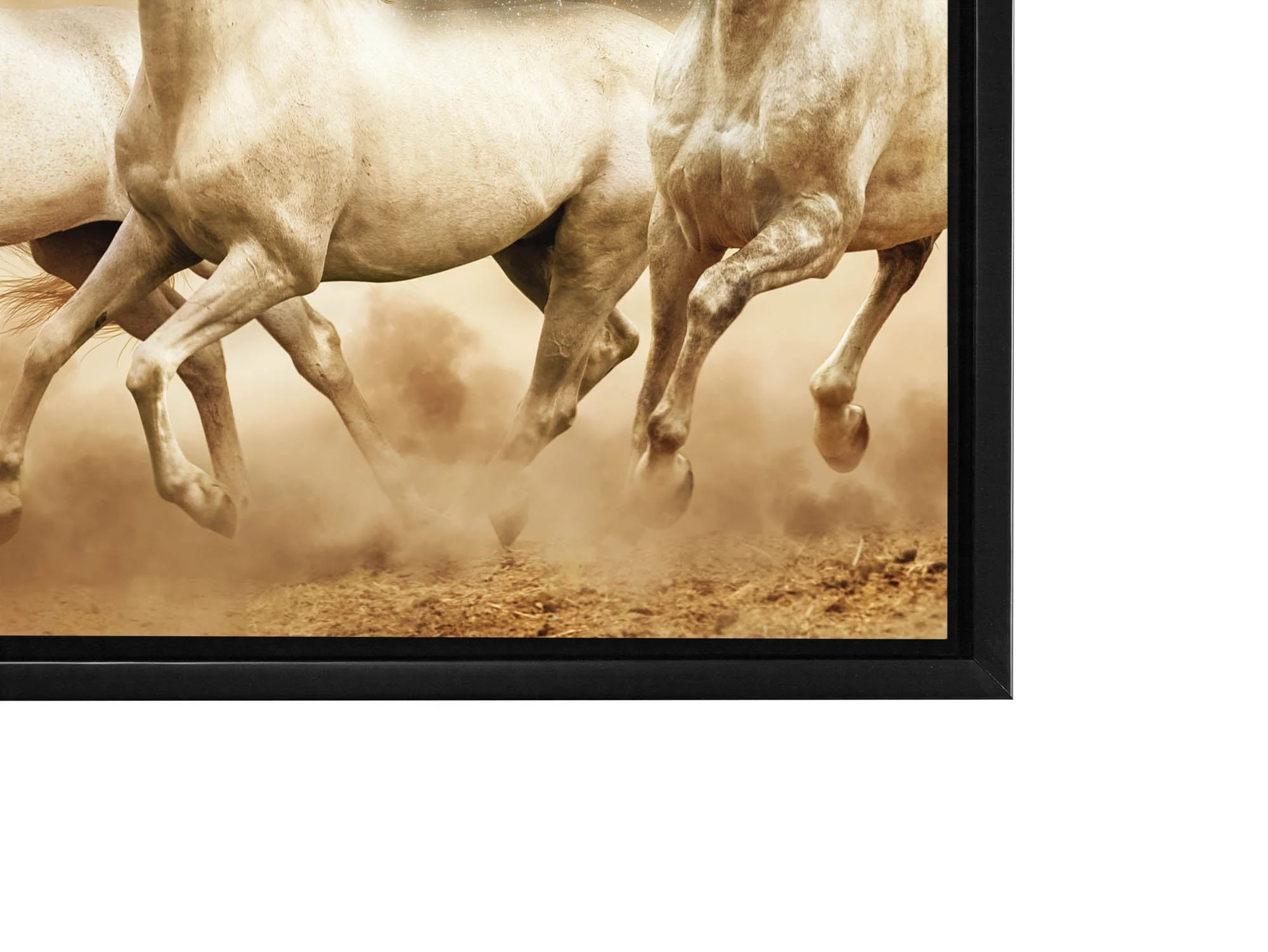 Genesis of a Unicorn Fine-Horse canvas-Wildlife Art-RGB varnish - Image 9
