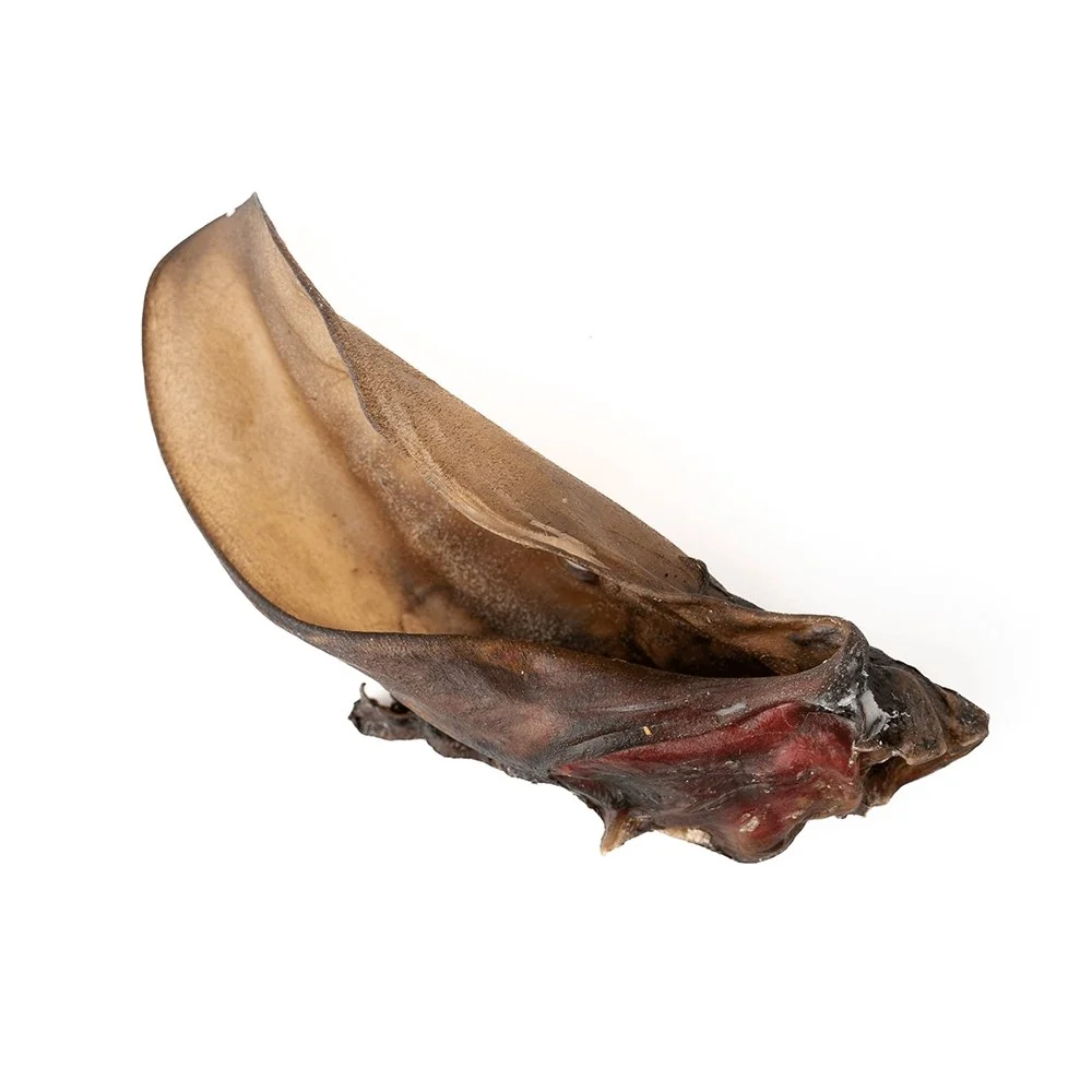 Giant Beef Ear - Image 3