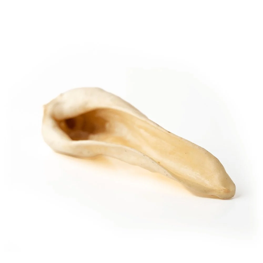 Goat Ear - Image 3