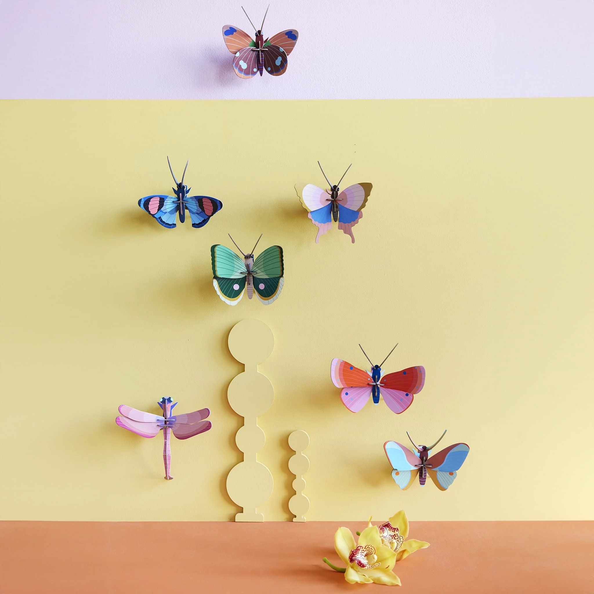 Gold Rim Butterfly - Image 3