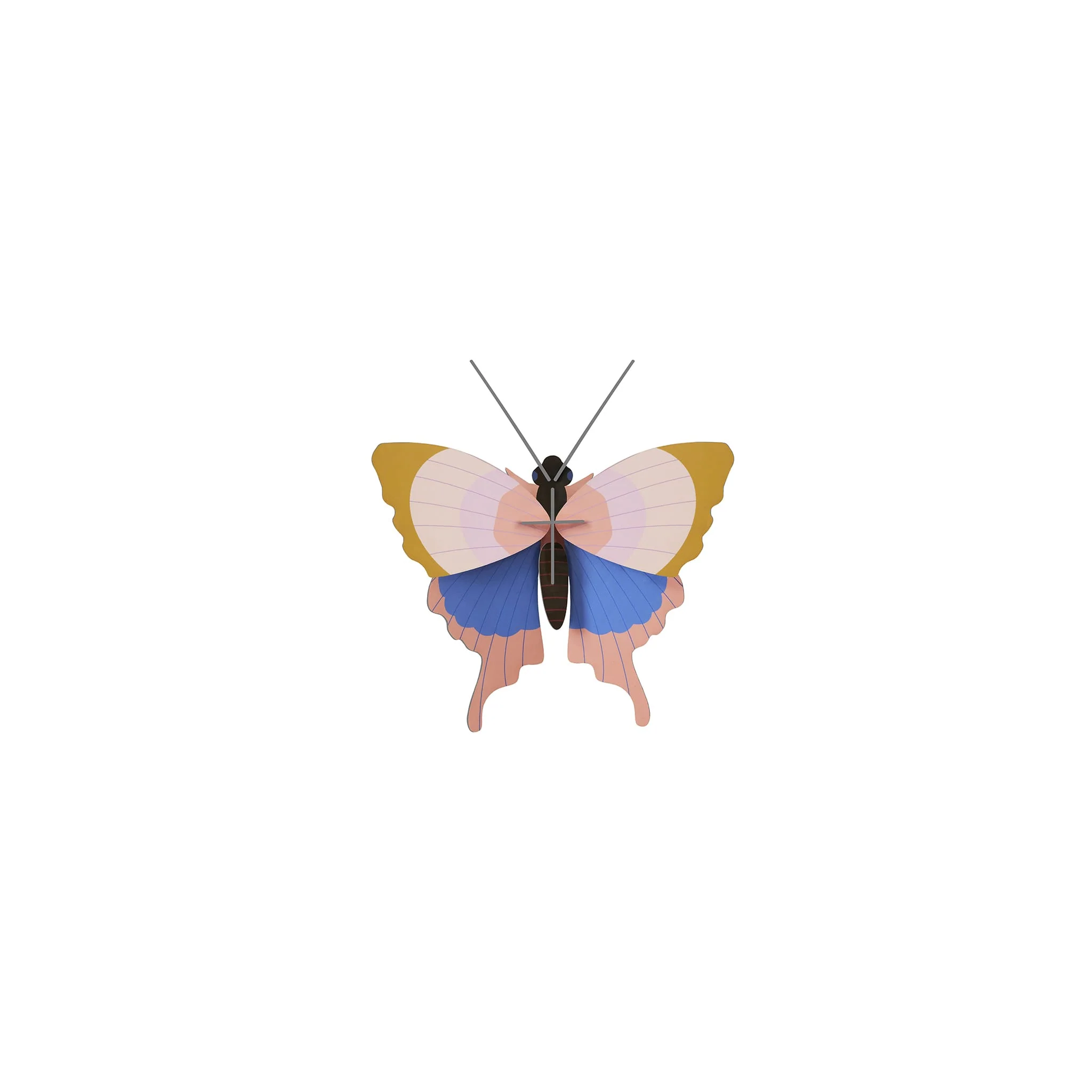 Gold Rim Butterfly - Image 6