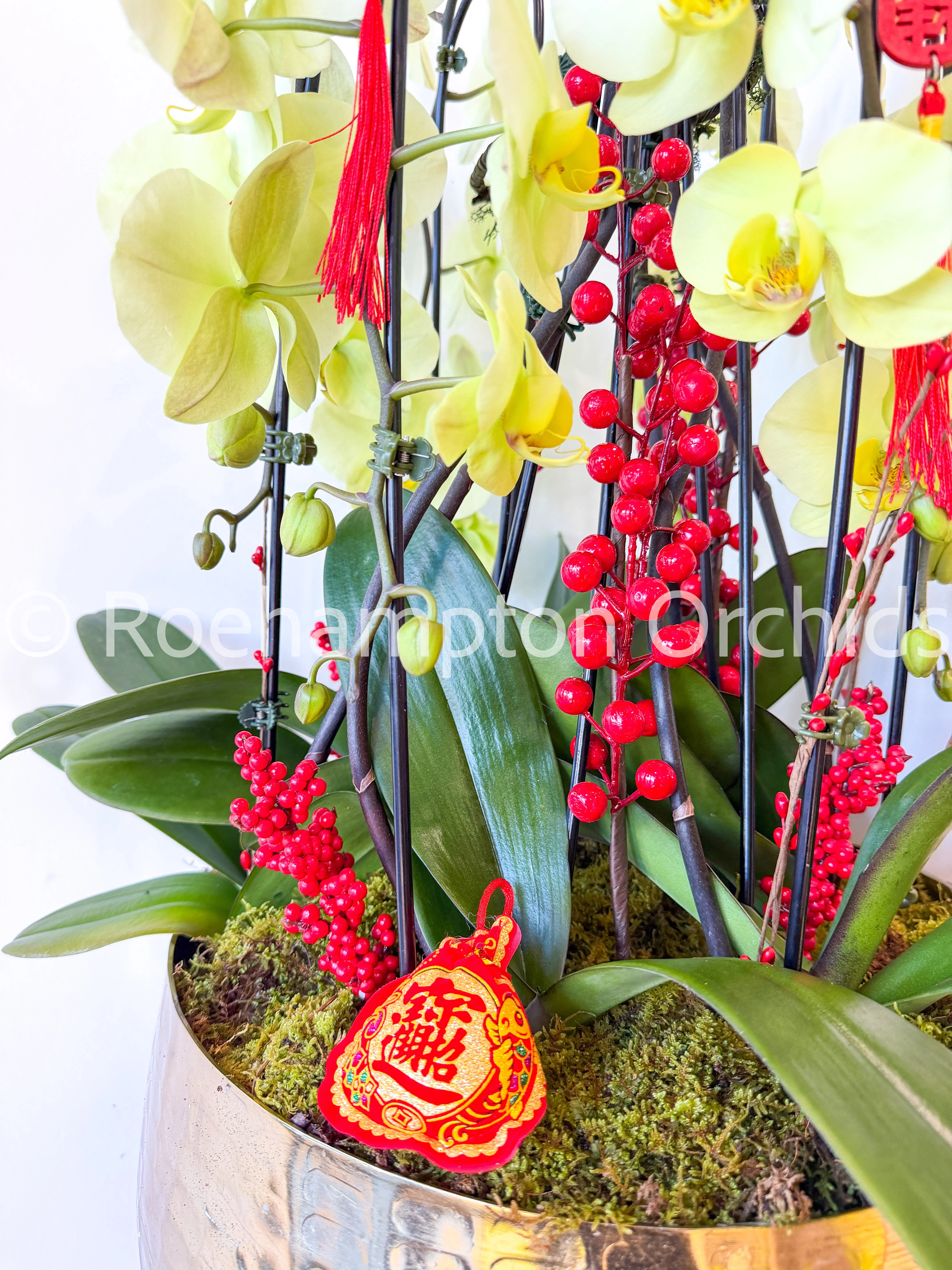 Golden Lucky Arrangement - Image 3