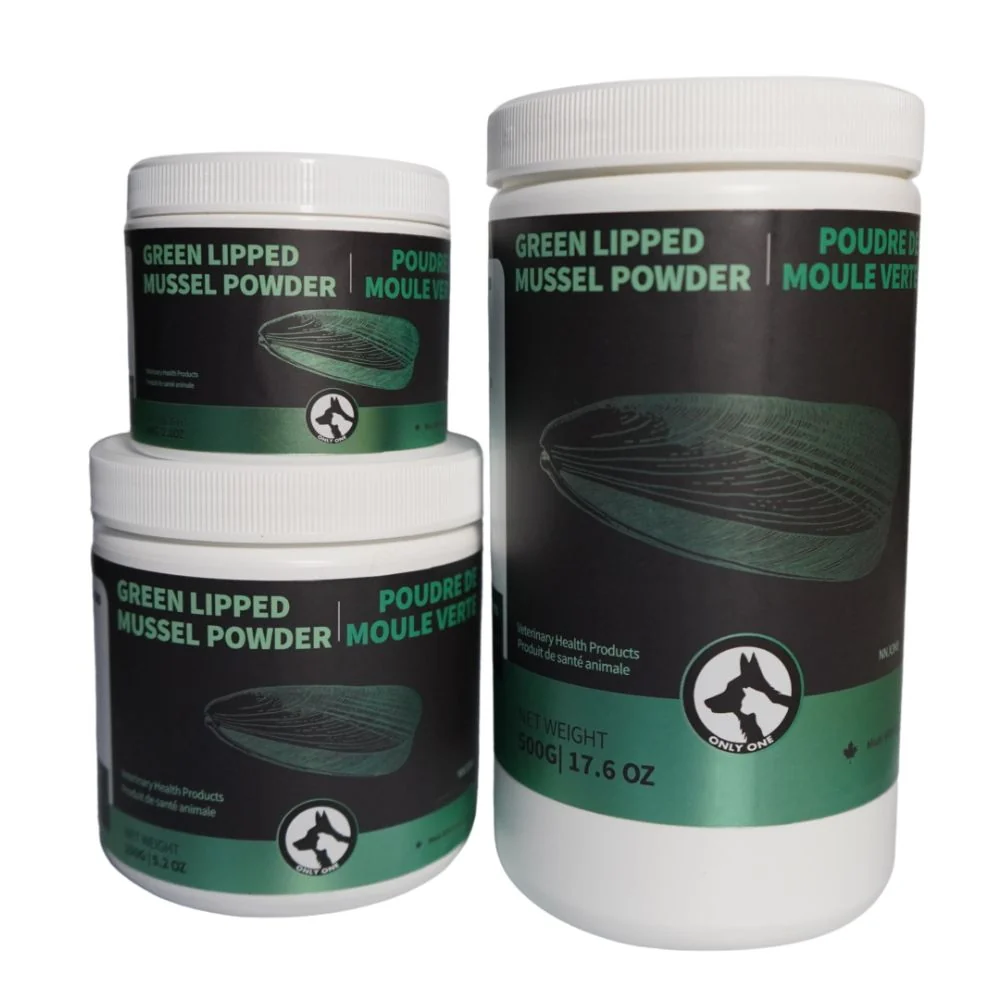 Green Lipped Mussel Powder 500g - Image 4