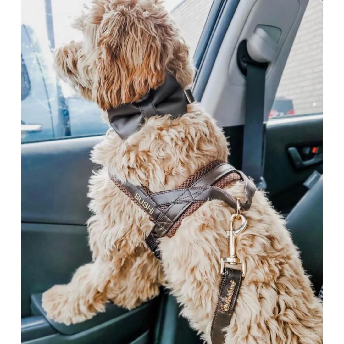 Grizzly brown leash with hands-free extension - Image 2