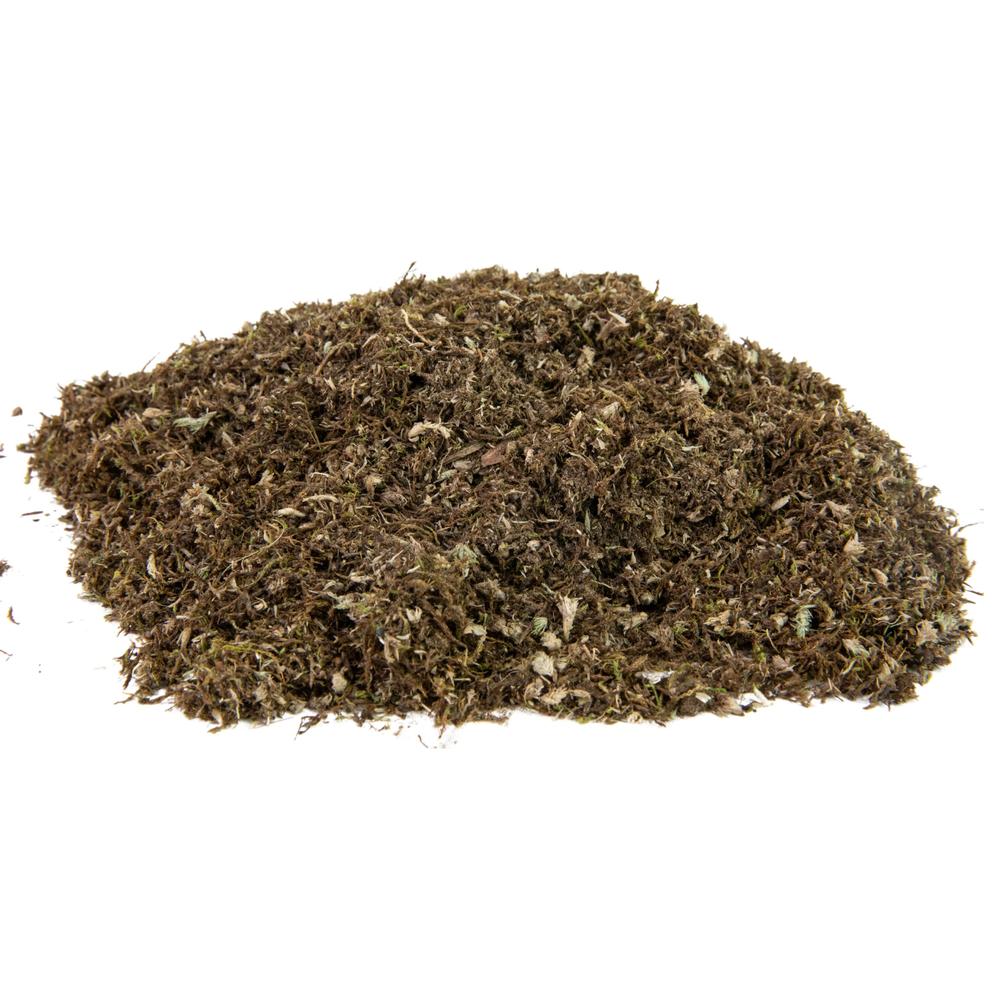 Native Boreal Mix Growable Moss for the Sun - Image 2