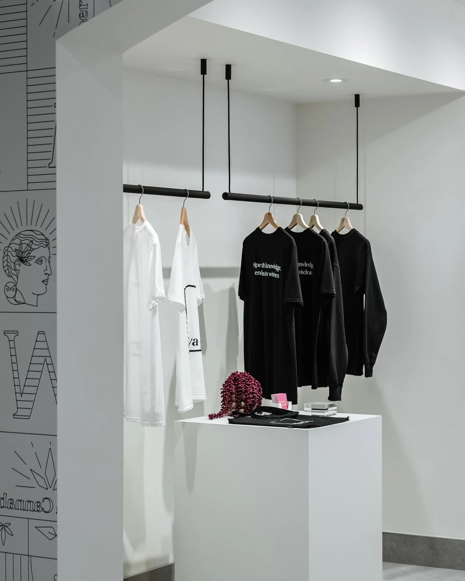 Ceiling Clothing Rack - Image 6