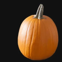 Howden Pumpkin