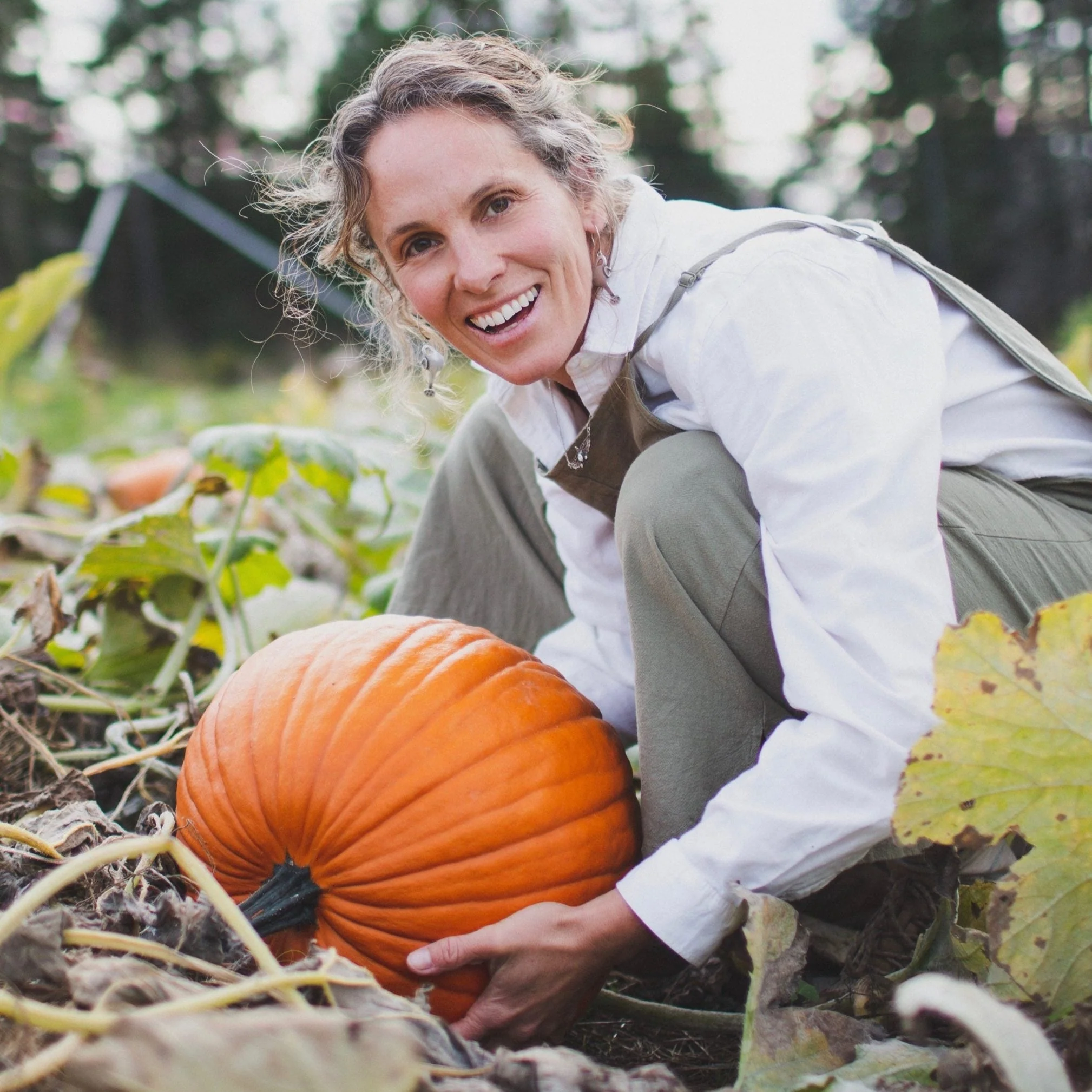 Howden Pumpkin - Image 2