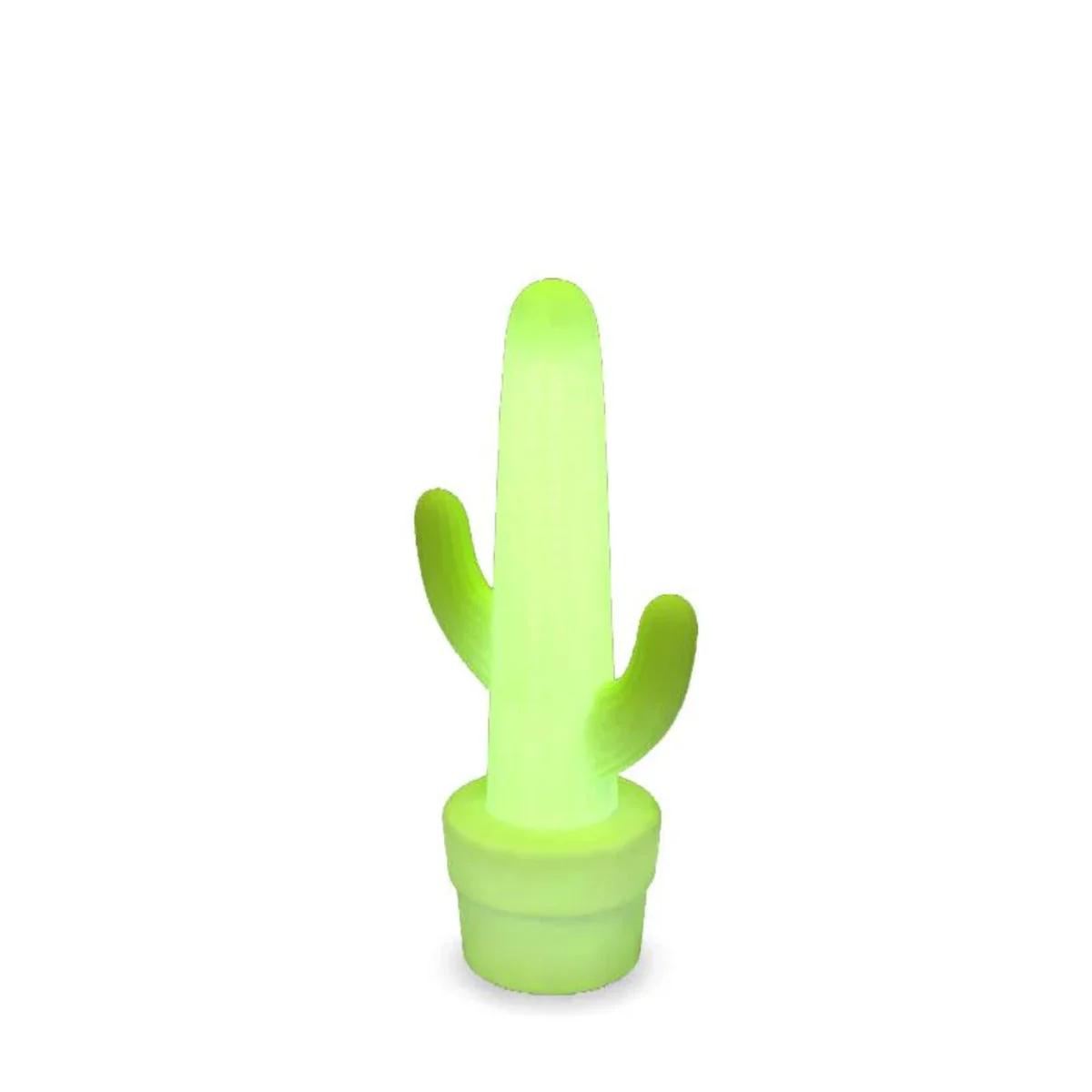 Kaktus - Image 6