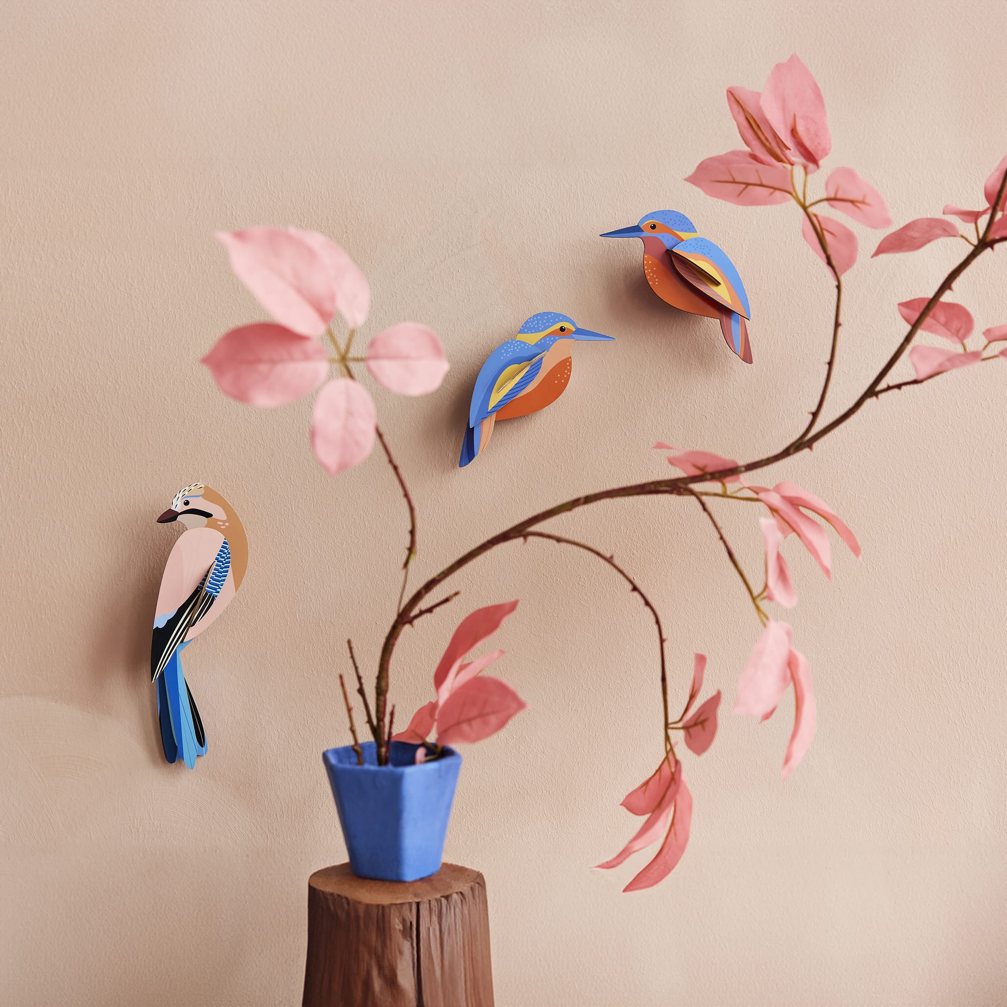 Kingfishers - Image 2