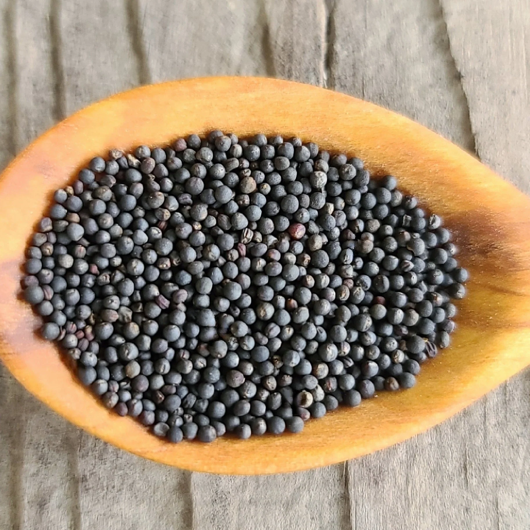 Lacinato Kale - Image 3
