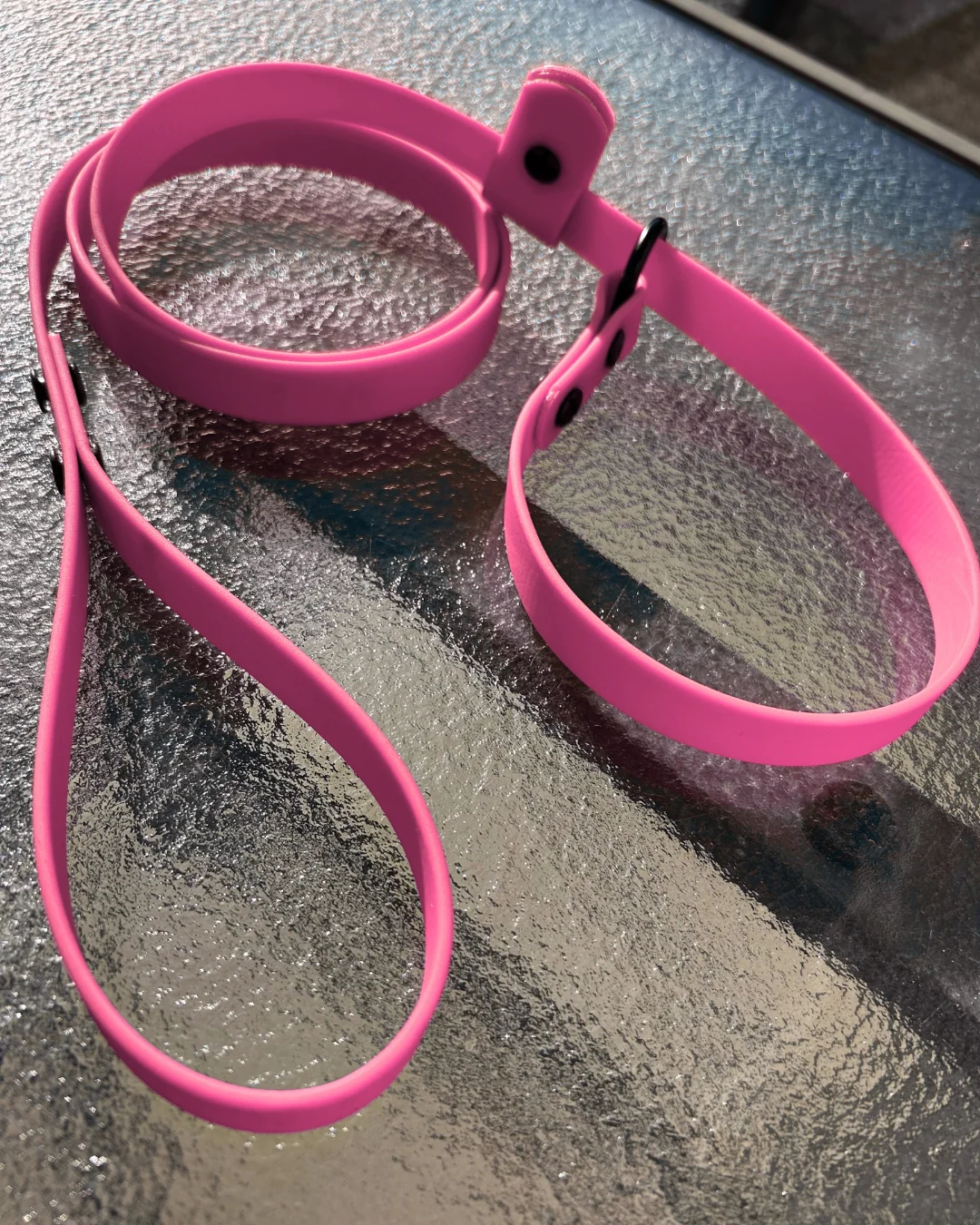 Laisse lasso en Biothane pour chien - Fait Main au Québec - Image 21