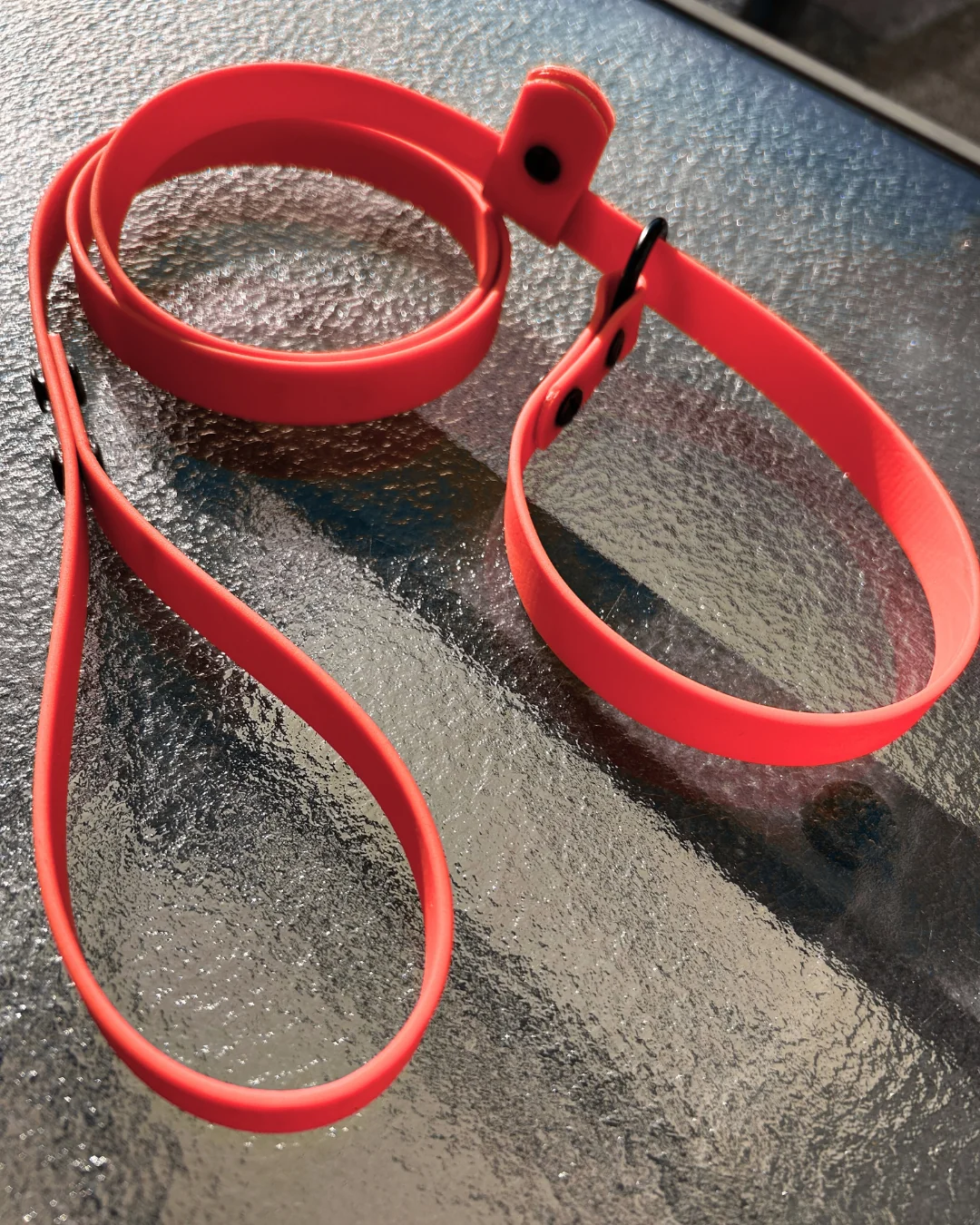 Laisse lasso en Biothane pour chien - Fait Main au Québec - Image 22