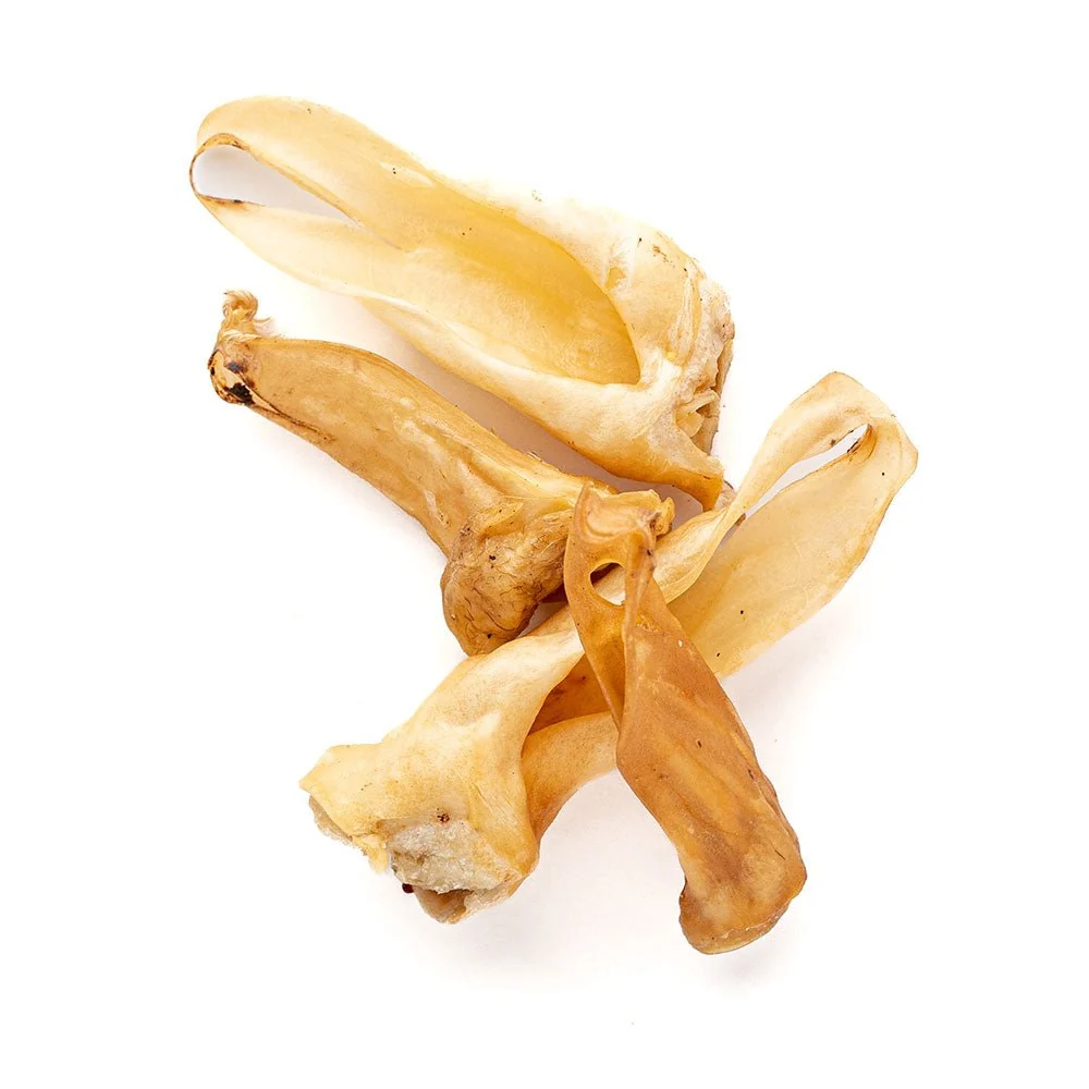 Lamb Ear - Image 3