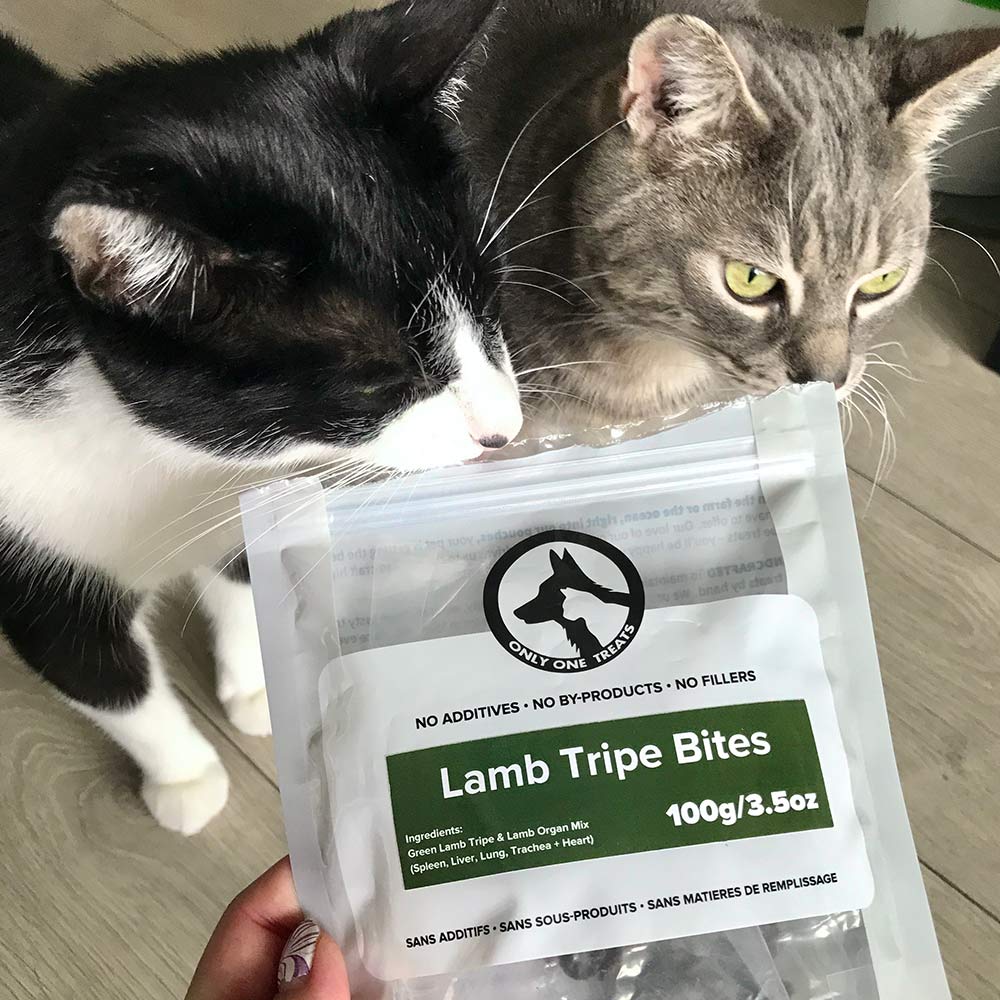 Lamb Tripe Bites 85g - Image 4