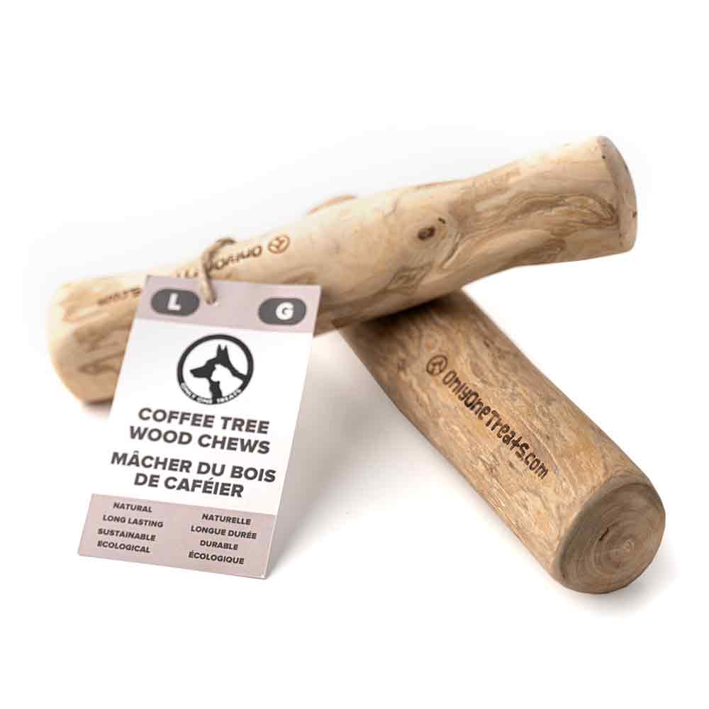 Large Coffee Wood Chew - Image 2