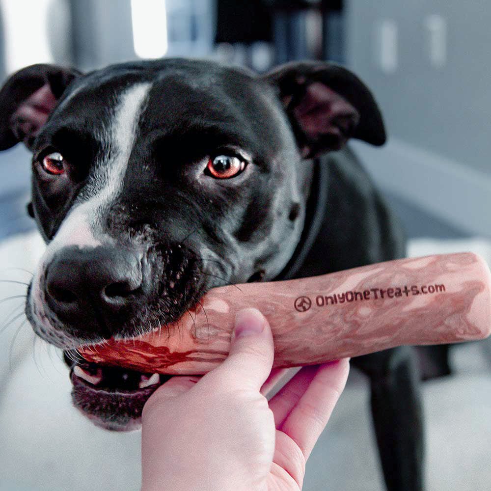 Large Coffee Wood Chew - Image 3