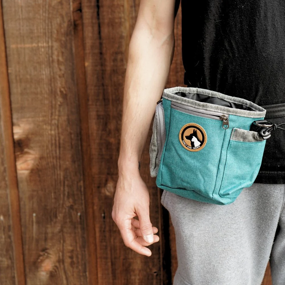 Large Treat Pouch - Teal - Image 4