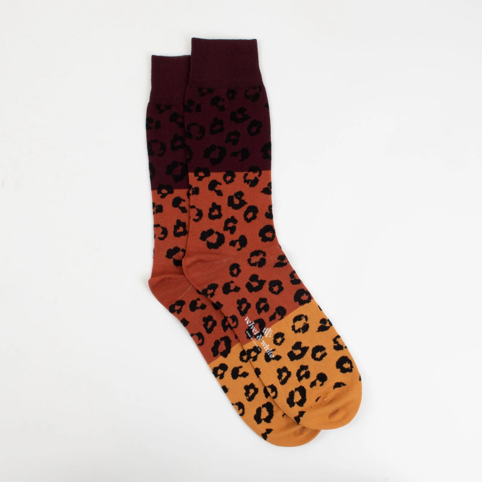 Late Night Leopard - Image 3
