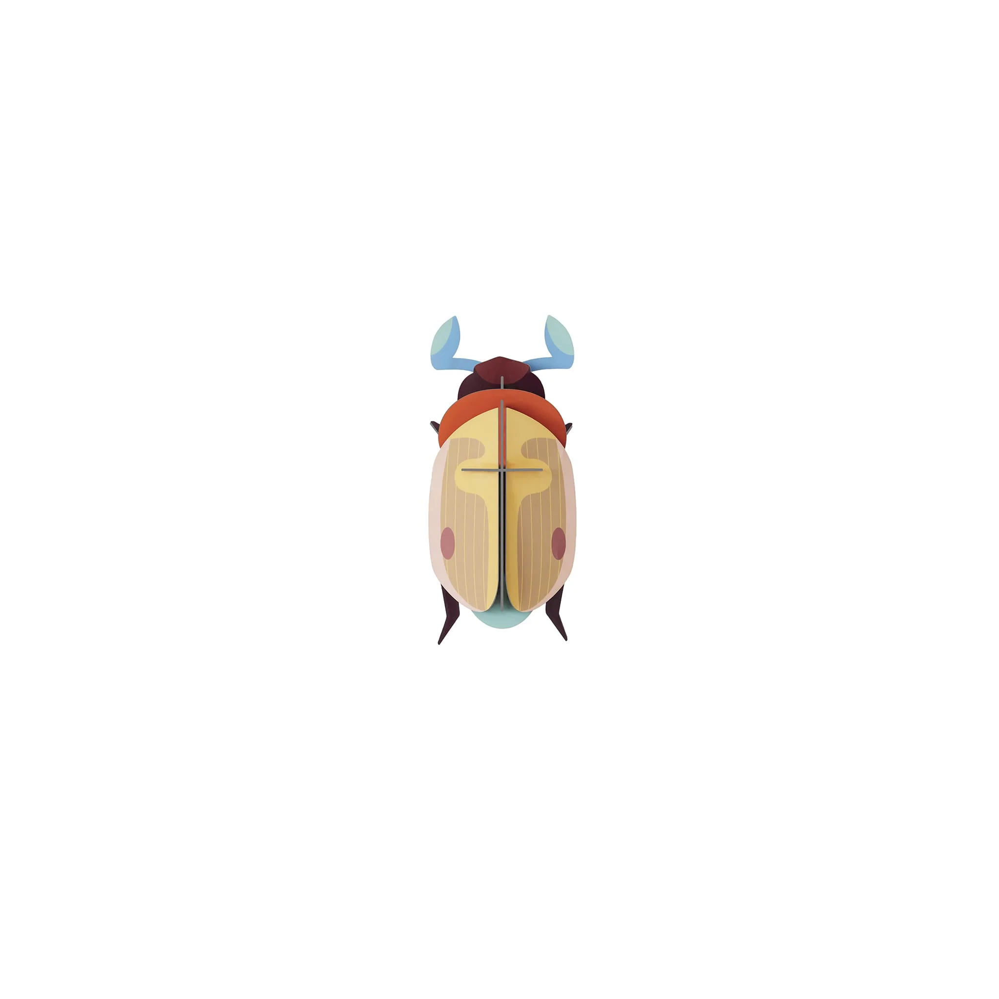 Lemon Fruit Beetle - Image 10