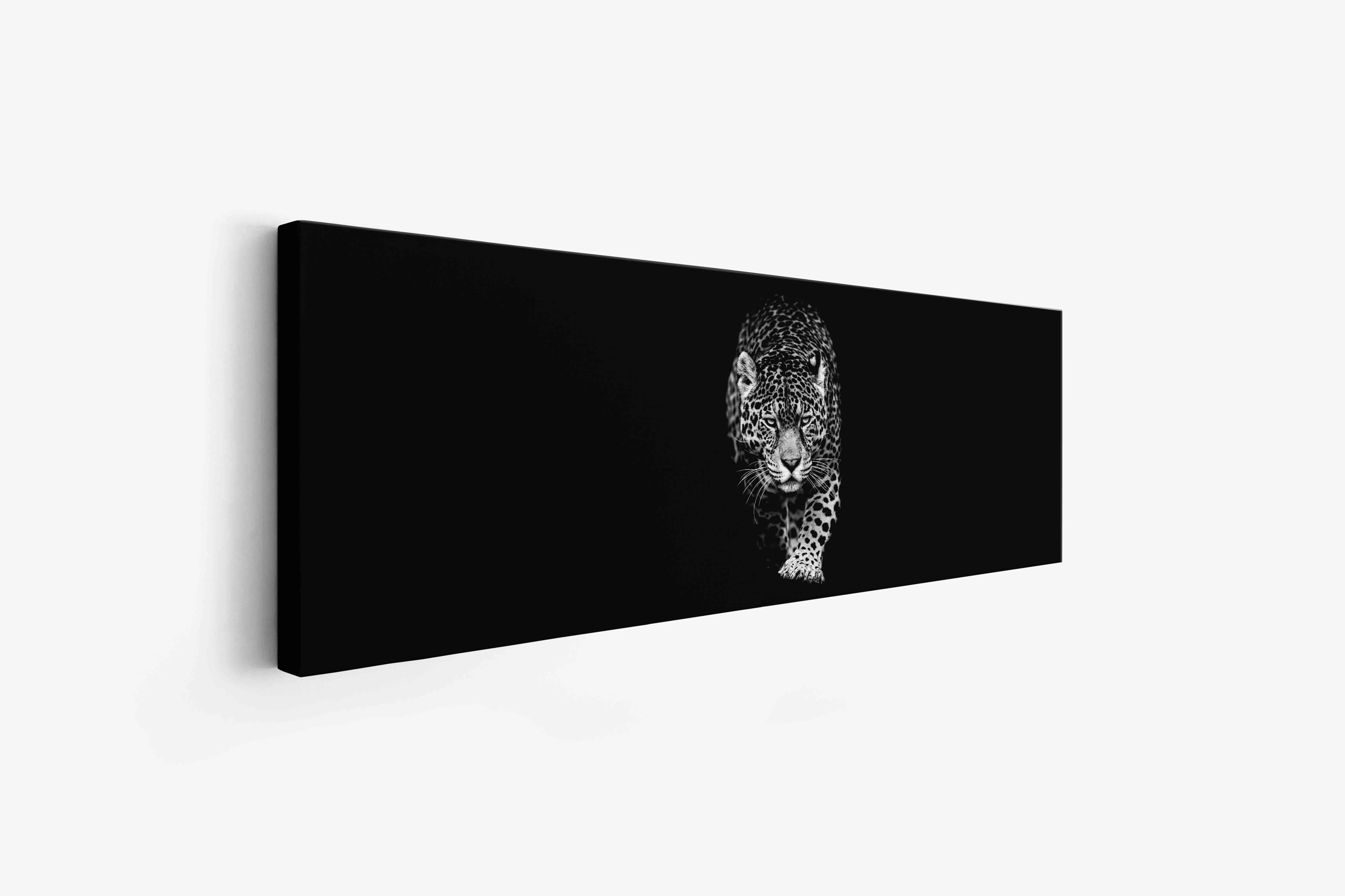 Leopard in Black & White 72" x 24" - Image 2