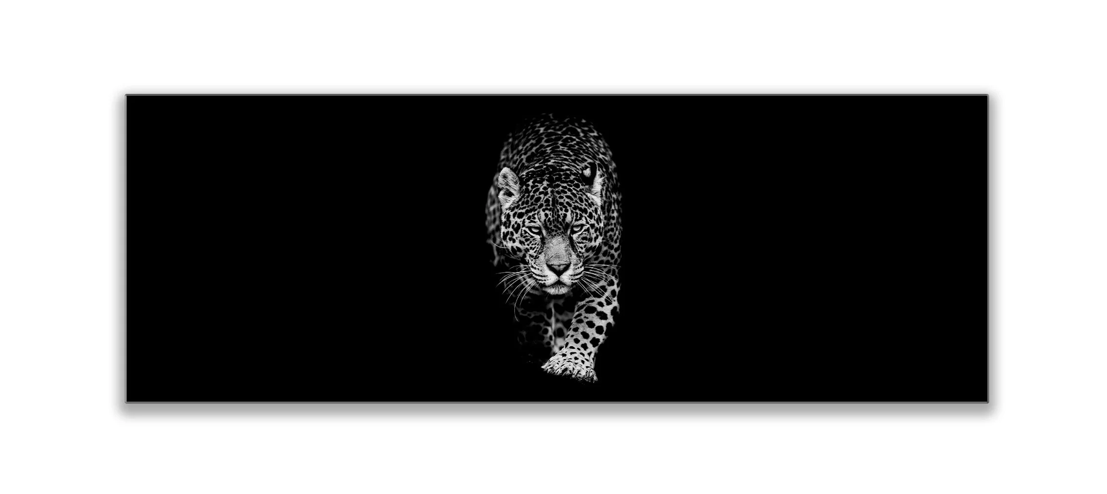Leopard in Black & White 72" x 24" - Image 4