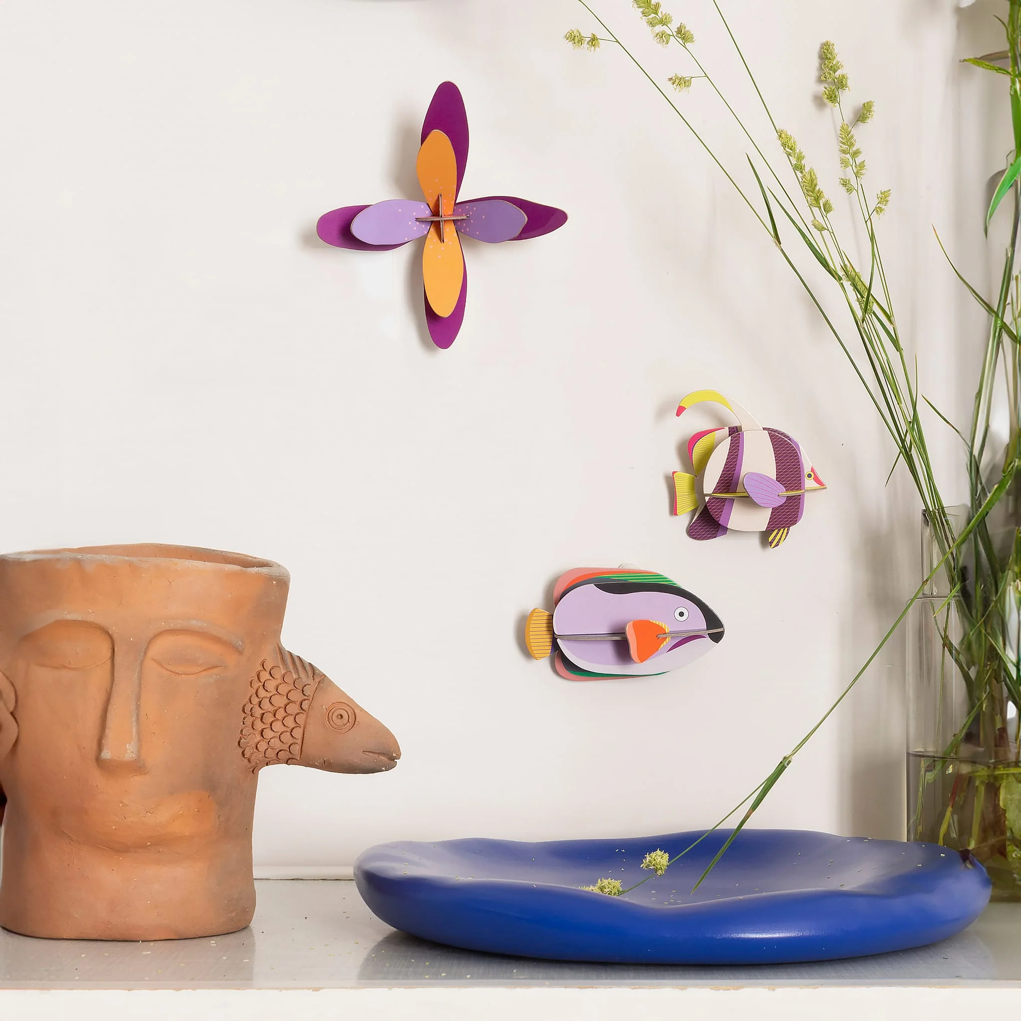Marine Angelfish - Image 4