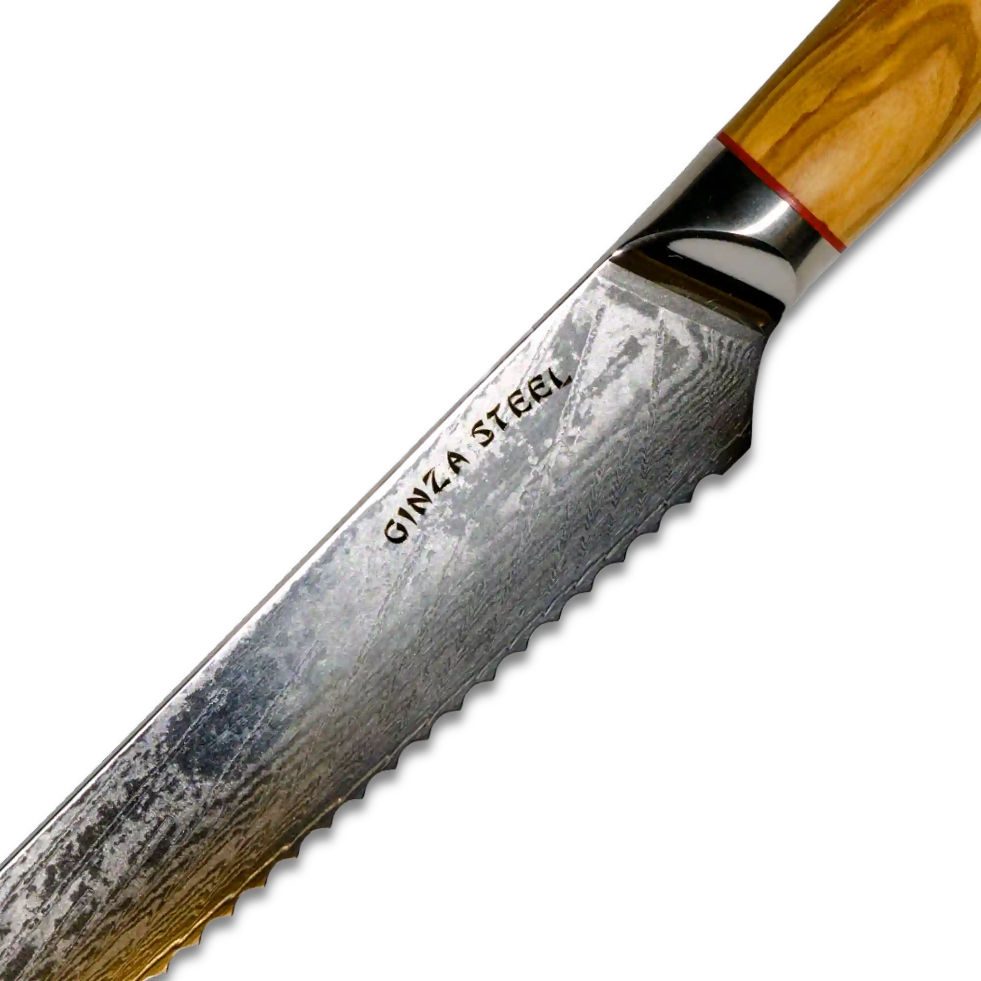 MIA Z | BREAD KNIFE 8" Damascus AUS10 Steel 67 Layer / Olive Wood handle - Image 2