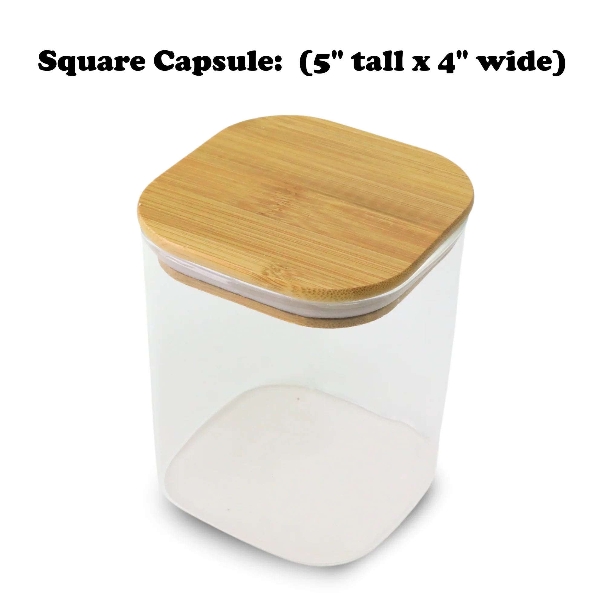 Mossify Terrarium Kit - Image 5