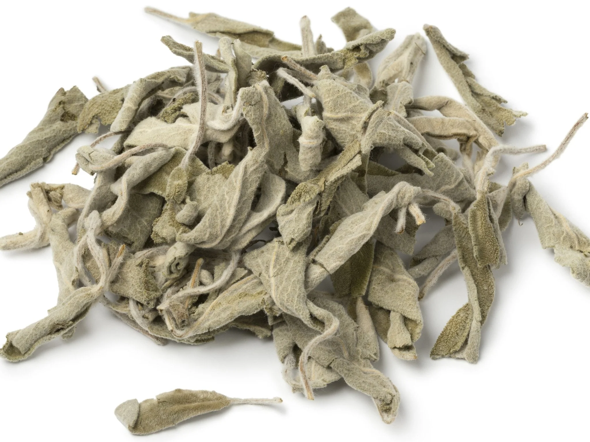 Mullein Leaves - Image 2