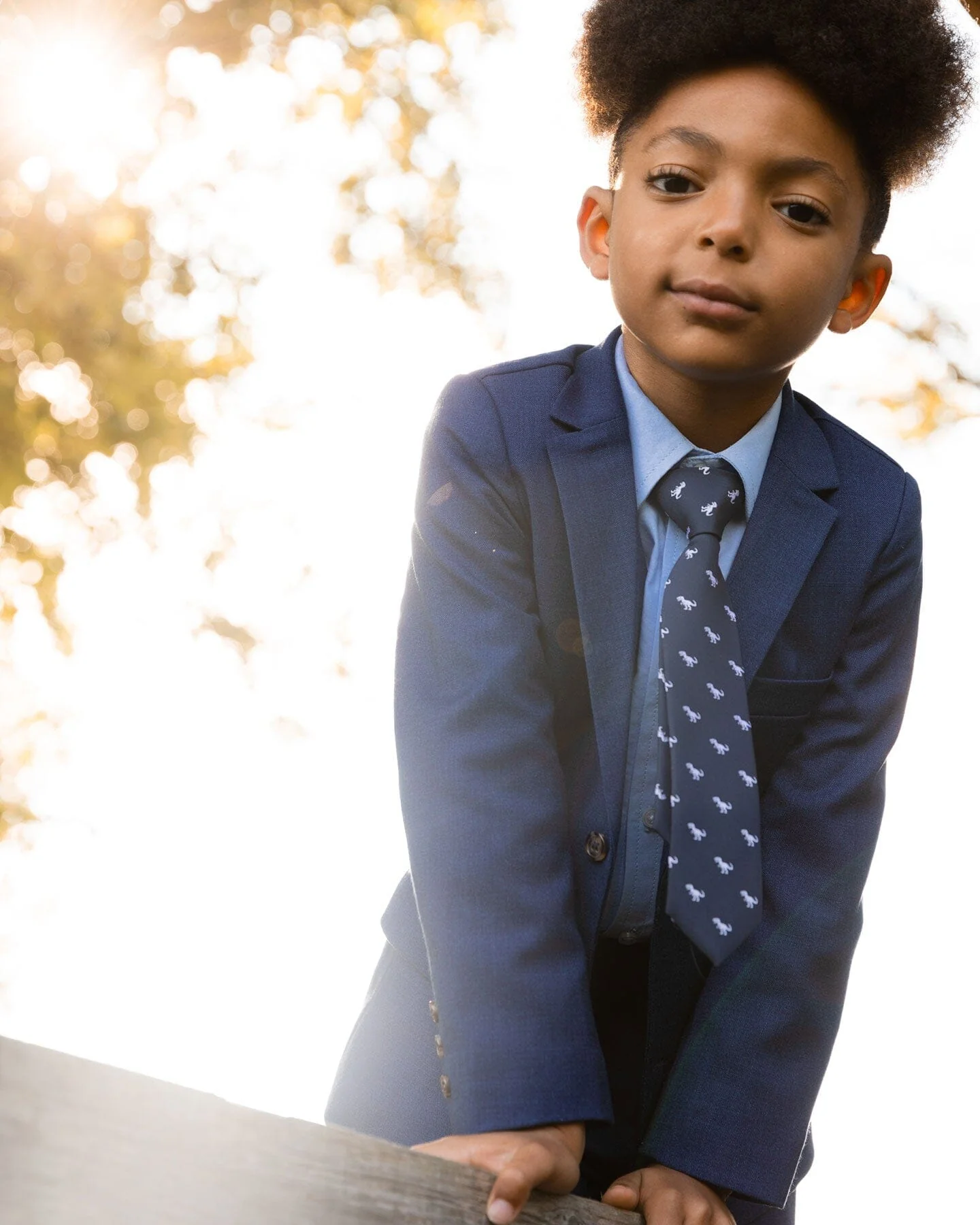 Neck Tie Navy Blue And Dino - Image 2