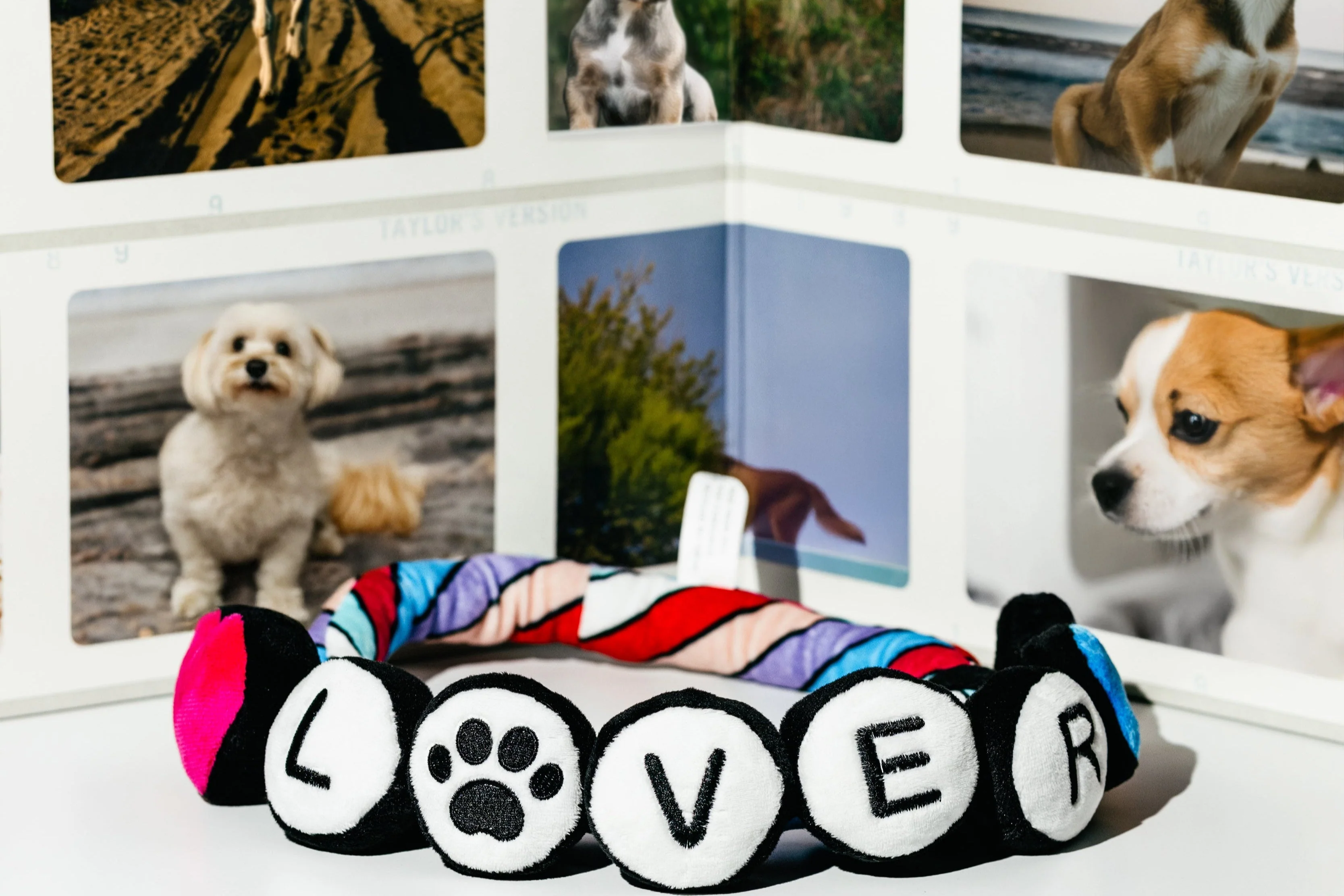 NEW LIMITED EDITION Pawty Animals Eco-Friendly Lover Friendship Bracelet - Rope Dog Toy - Image 5