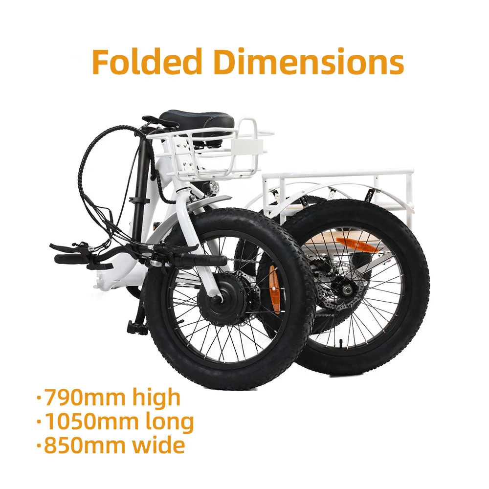 NEW-TRIKE 1.0 - Image 12