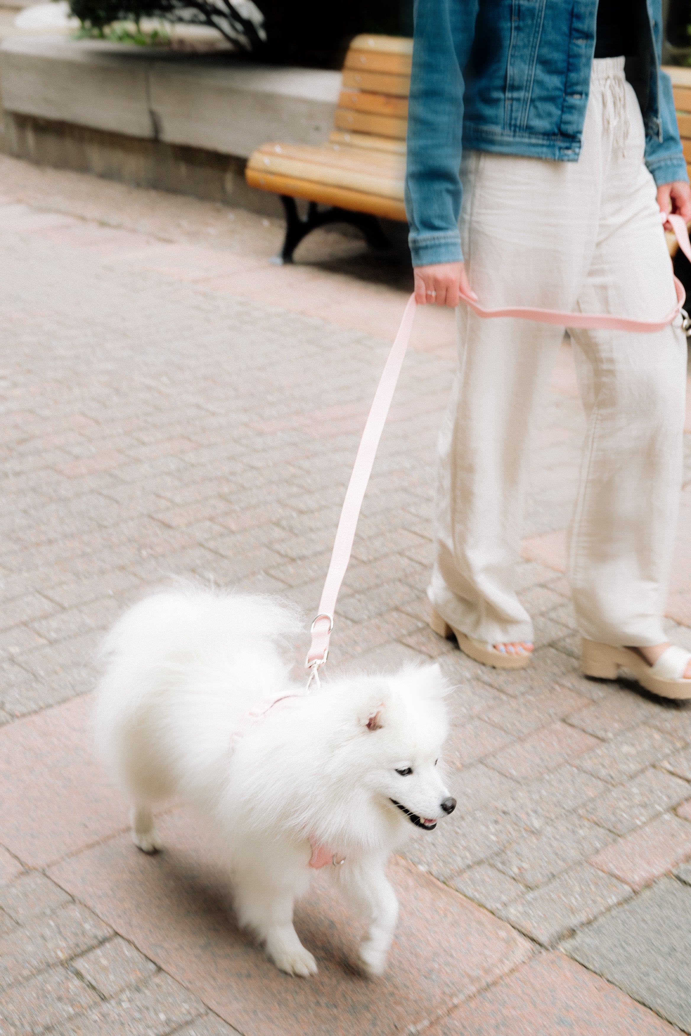 On-the-go Leash in Lychee - Image 2