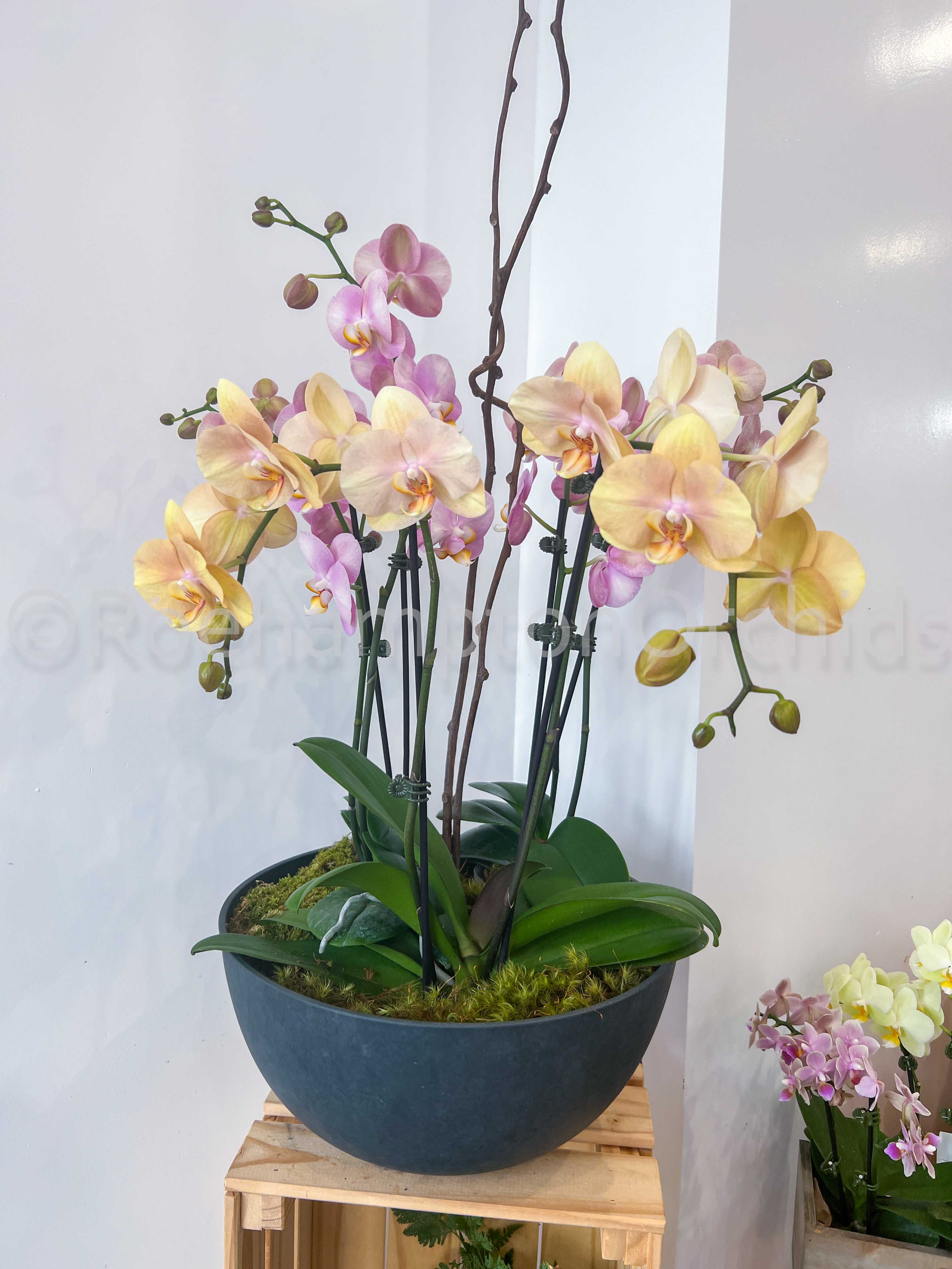 Onyx Stone Arrangement (4 or 5) - Image 2
